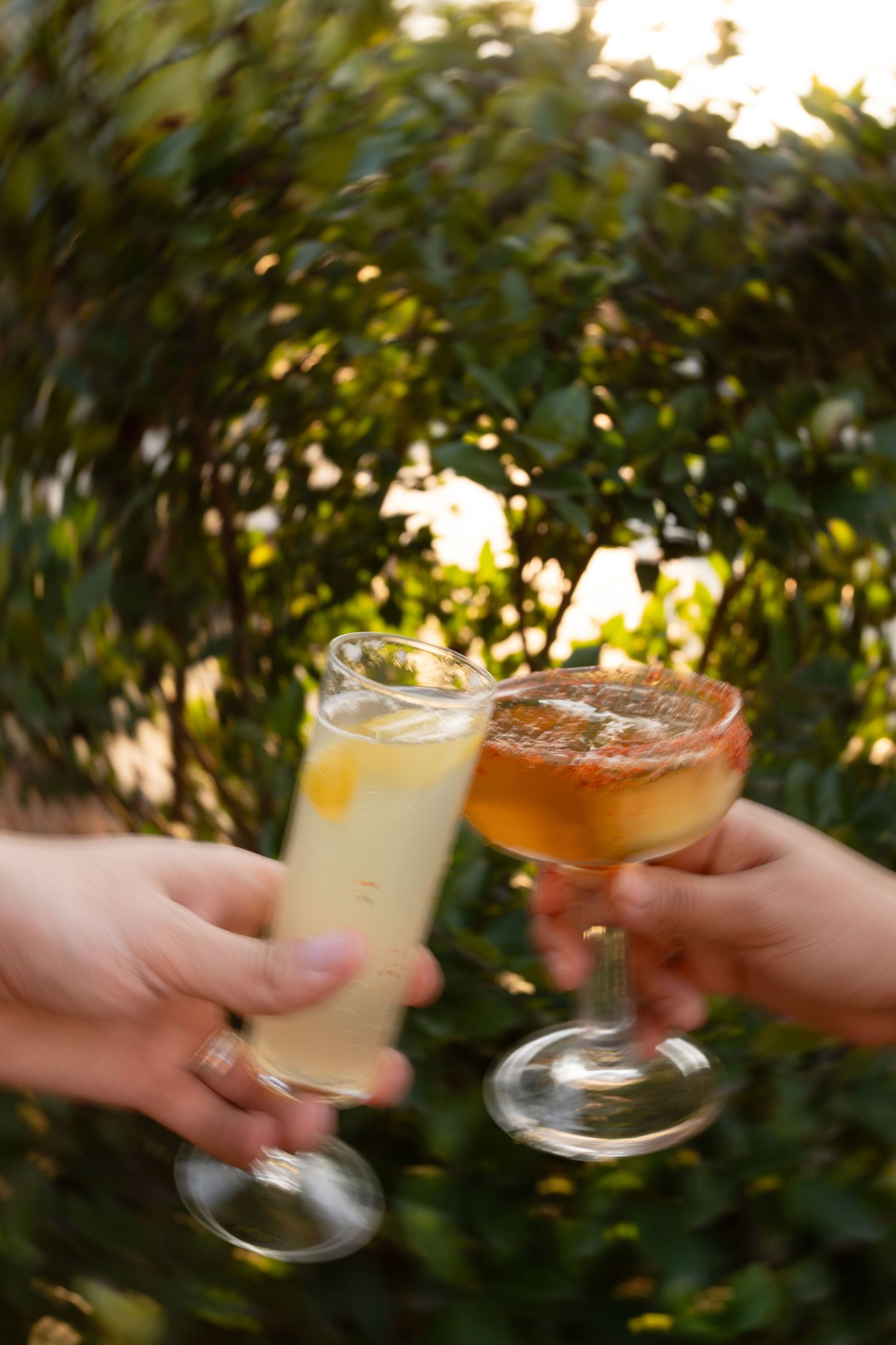 joyful toast with drinks at Central Valley event