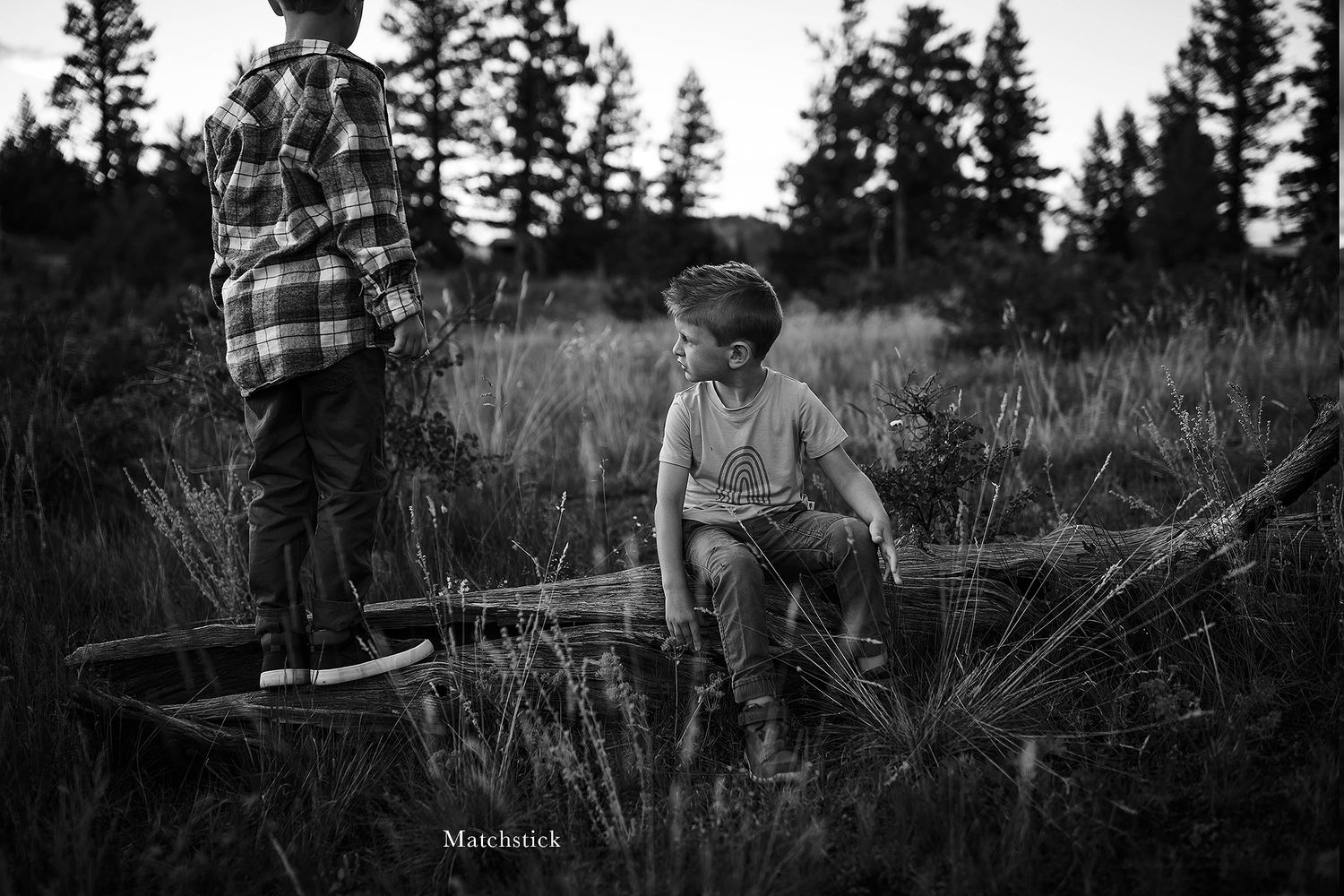 Silhouetted figures stand in a grassy meadow at sunset with evergreen trees in the background.