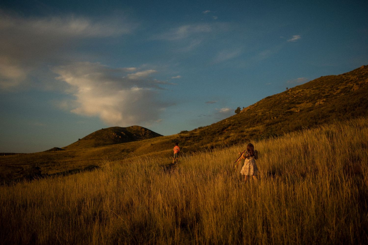 Two figures walk through tall golden grass at sunset with rolling hills in the background.