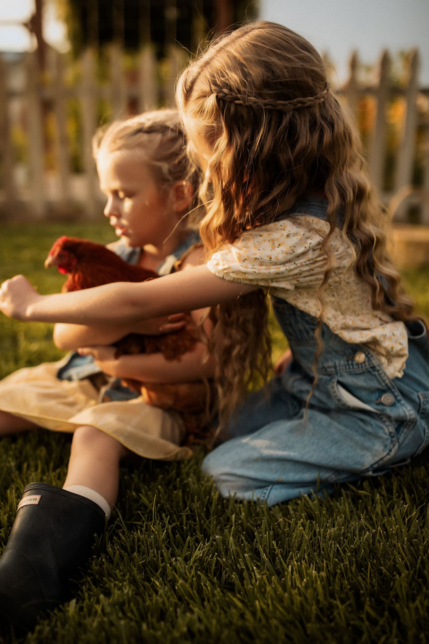 Children sitting in grass during golden hour holding chickens while wearing denim and casual clothing.