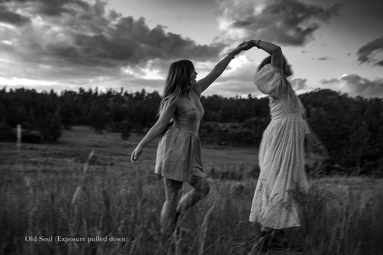Artistic black and white photo capturing movement in a wildflower field with mountains in the distance.