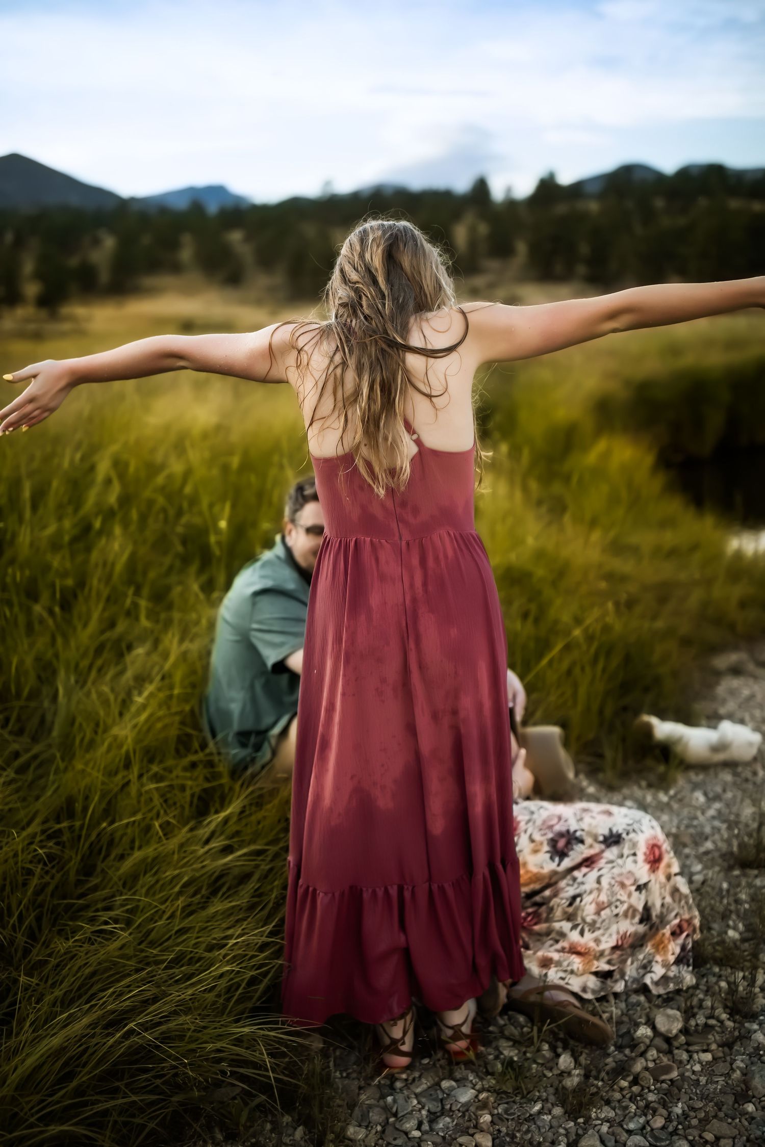 A series of outdoor photos showing a burgundy dress against natural landscapes with mountains and tall grass.