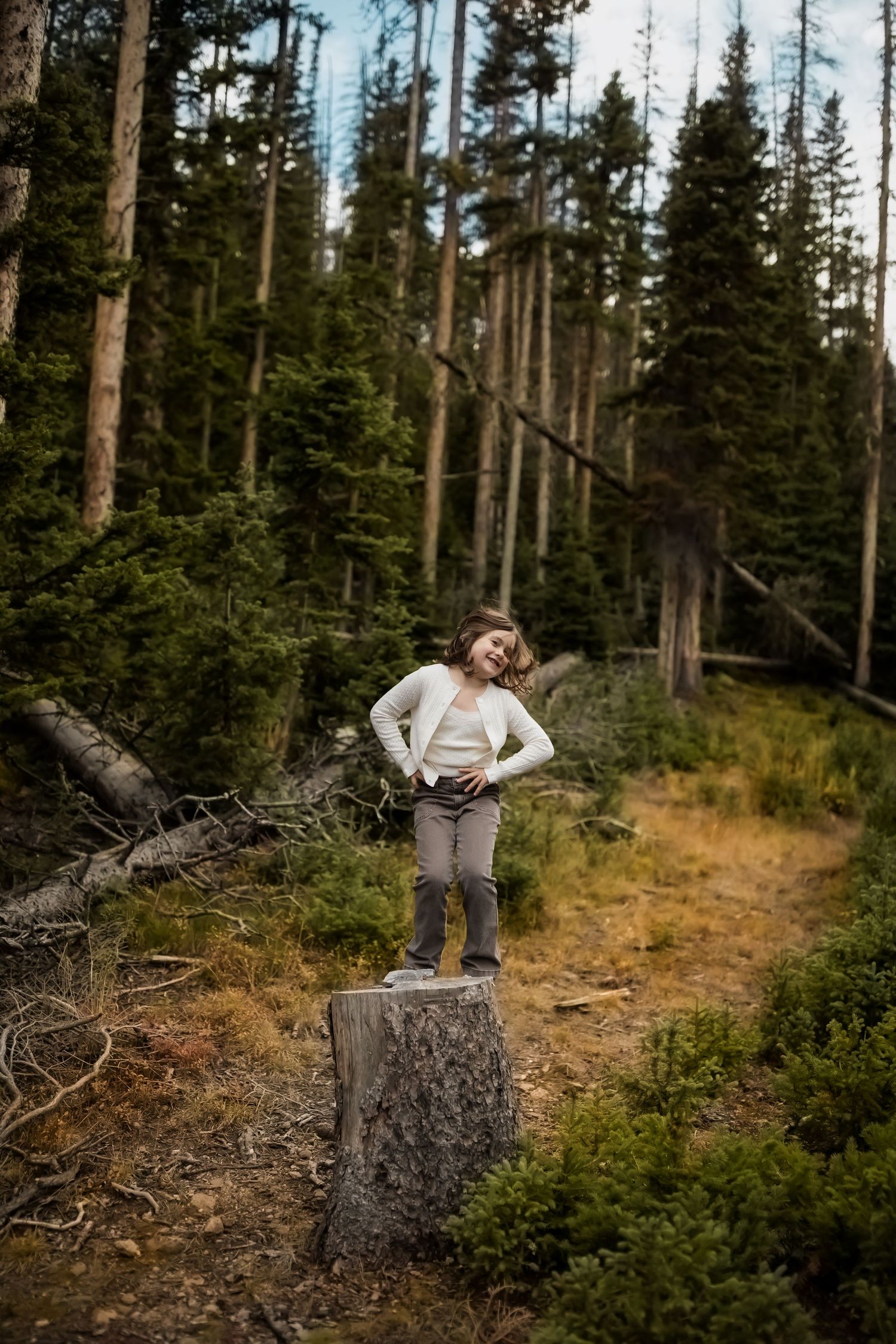 Person balancing on tree stumps in a pine forest setting.