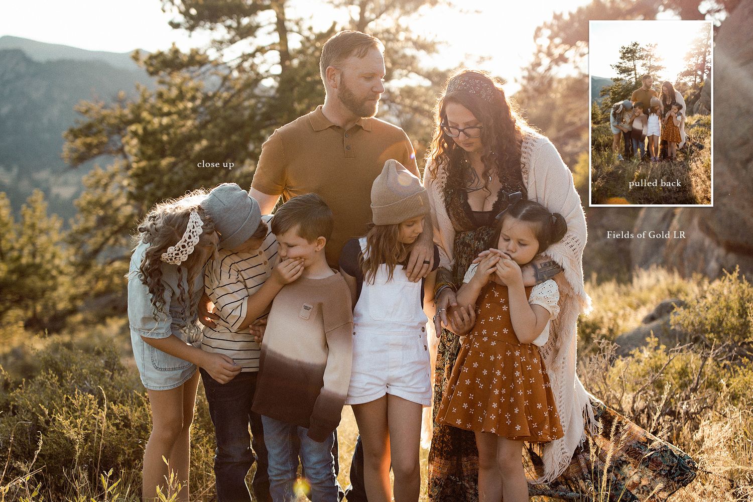 Family photo session in a golden sunlit field with mountains in the background.