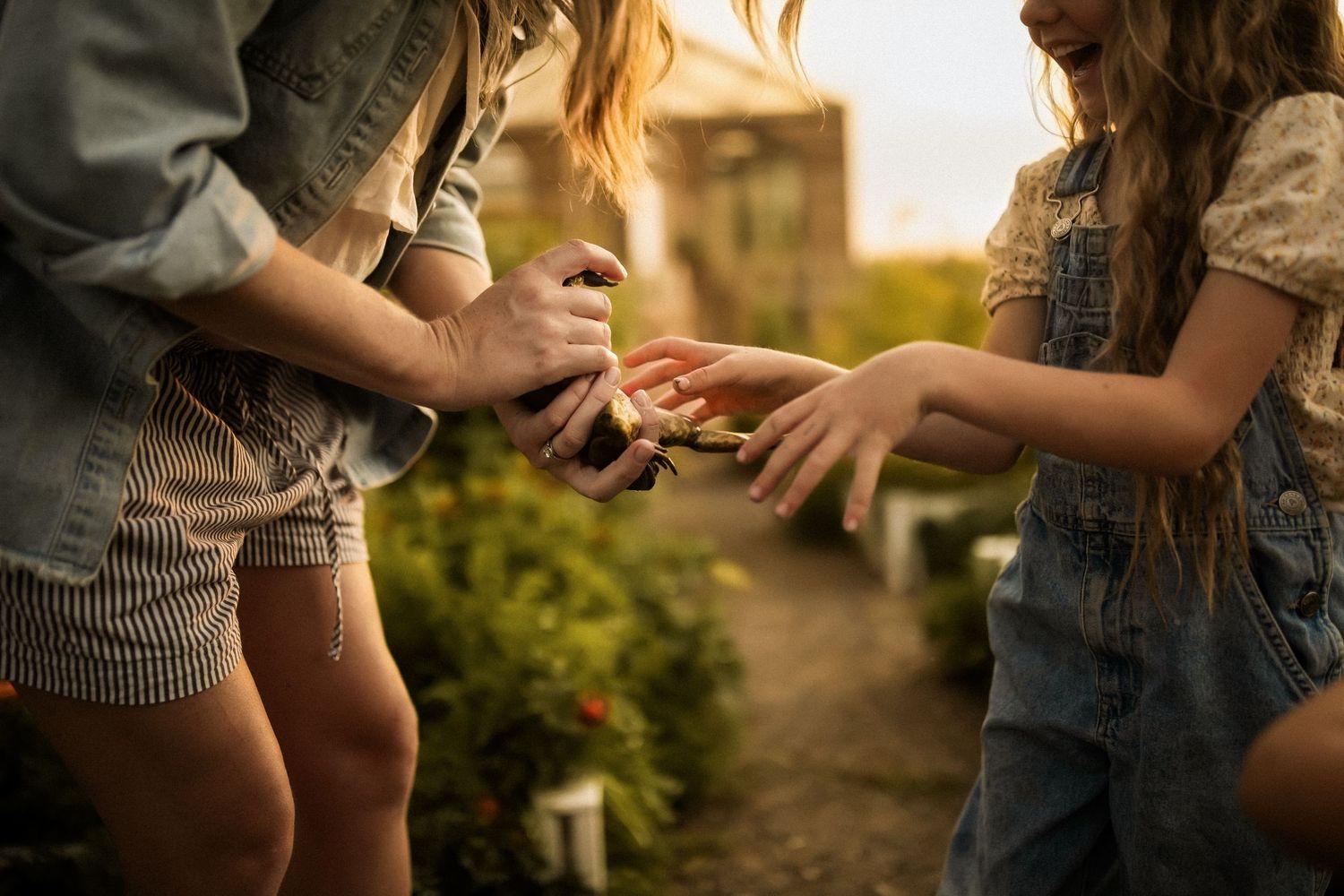 A couple holding hands in warm golden sunlight while walking through a garden setting.
