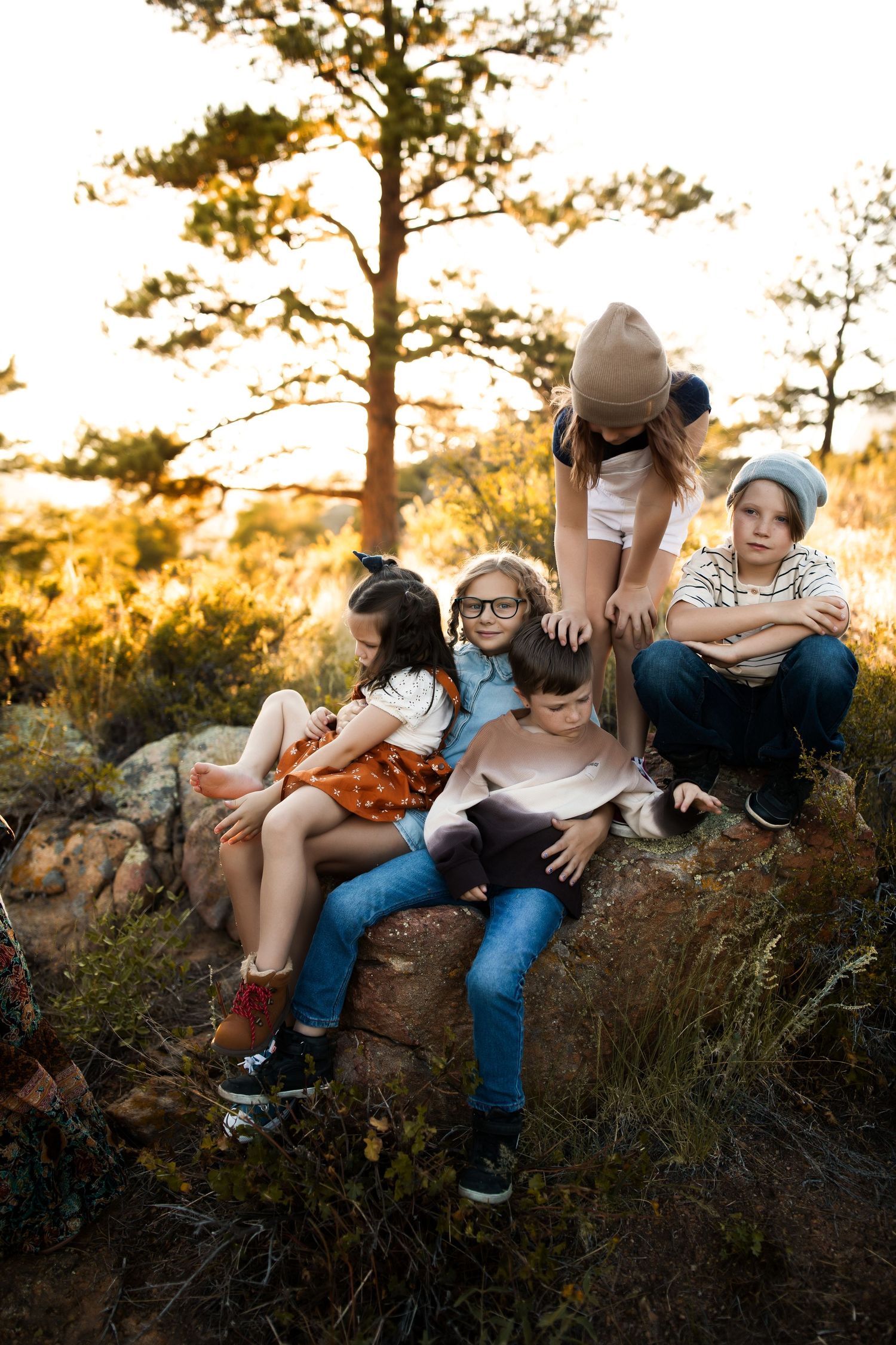 Group of friends enjoying sunset together while sitting on rocky terrain in a pine forest at golden hour.