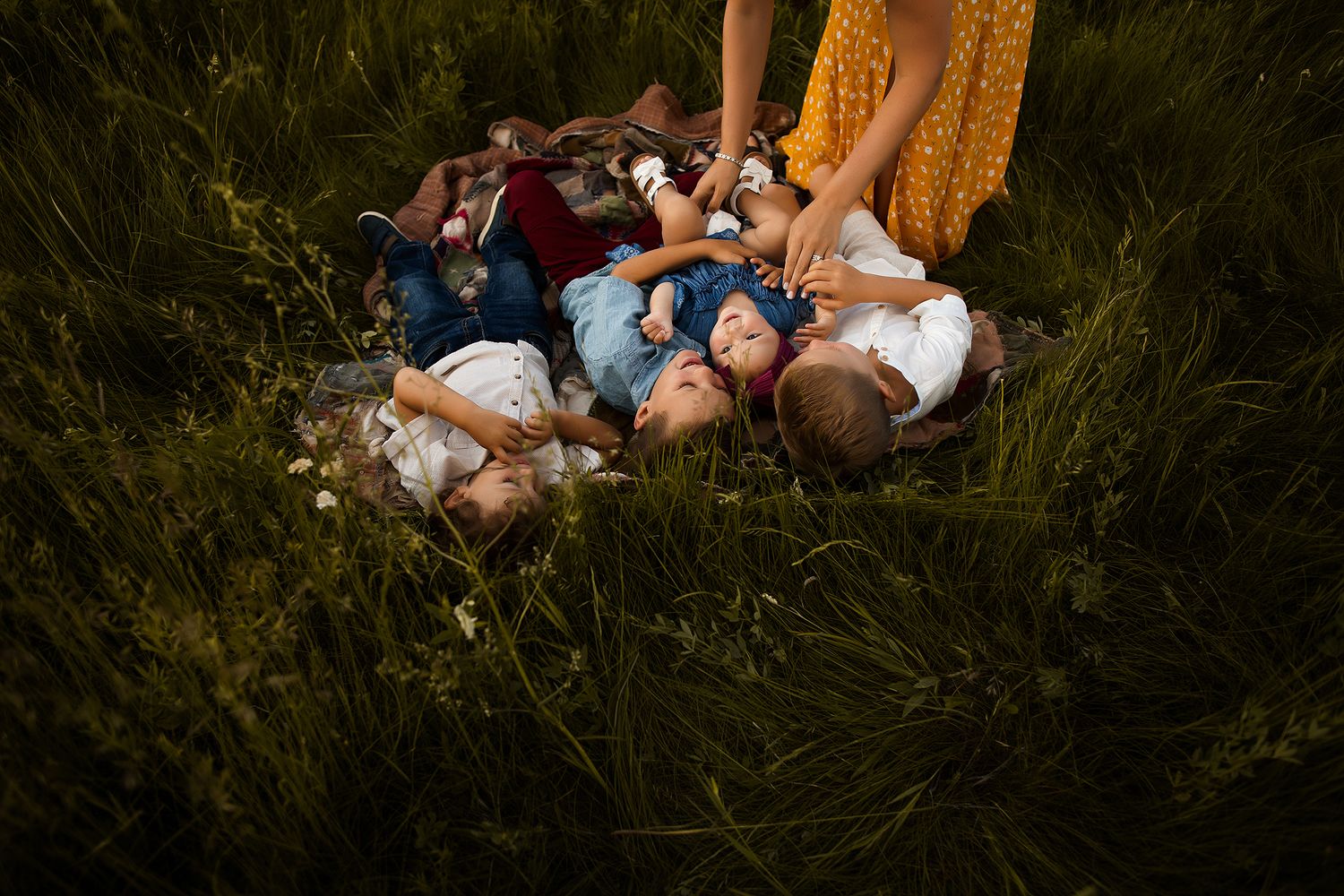 A family lying together on a blanket in tall grass during golden hour.