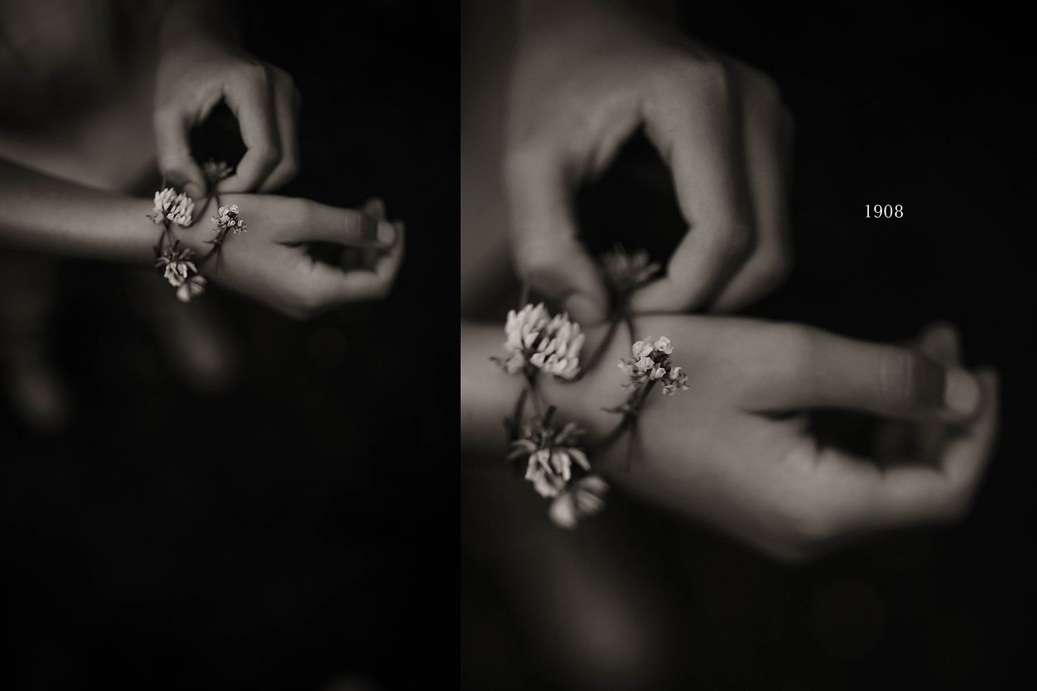Artistic black and white macro photography of delicate jewelry details.