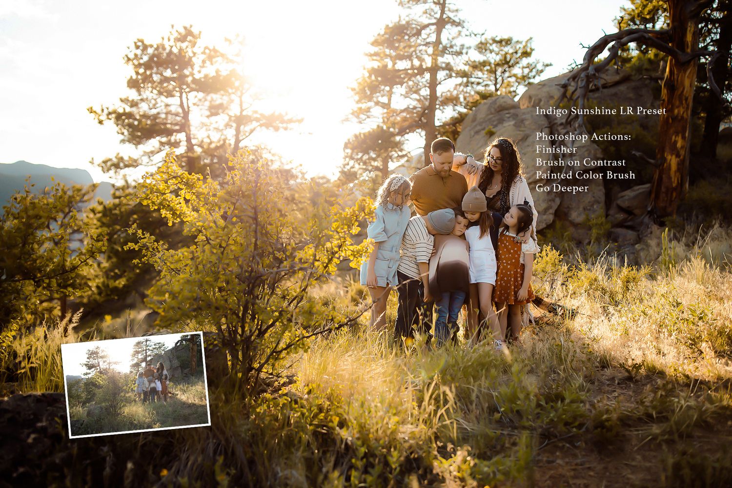 Family photography session in a sun-drenched mountain forest clearing.