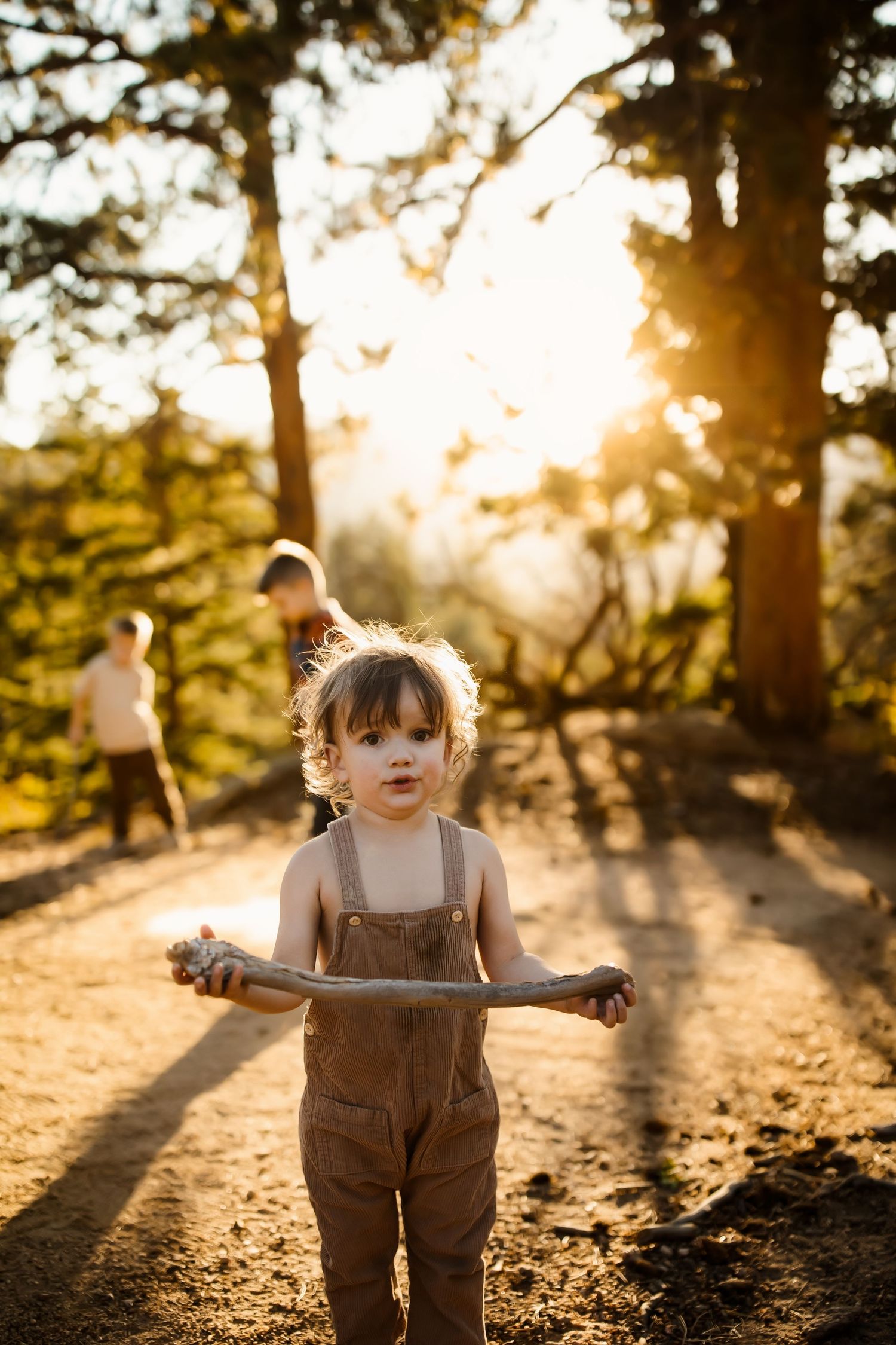 A small child wearing brown overalls plays in a sunlit forest during golden hour, creating long shadows on the ground.