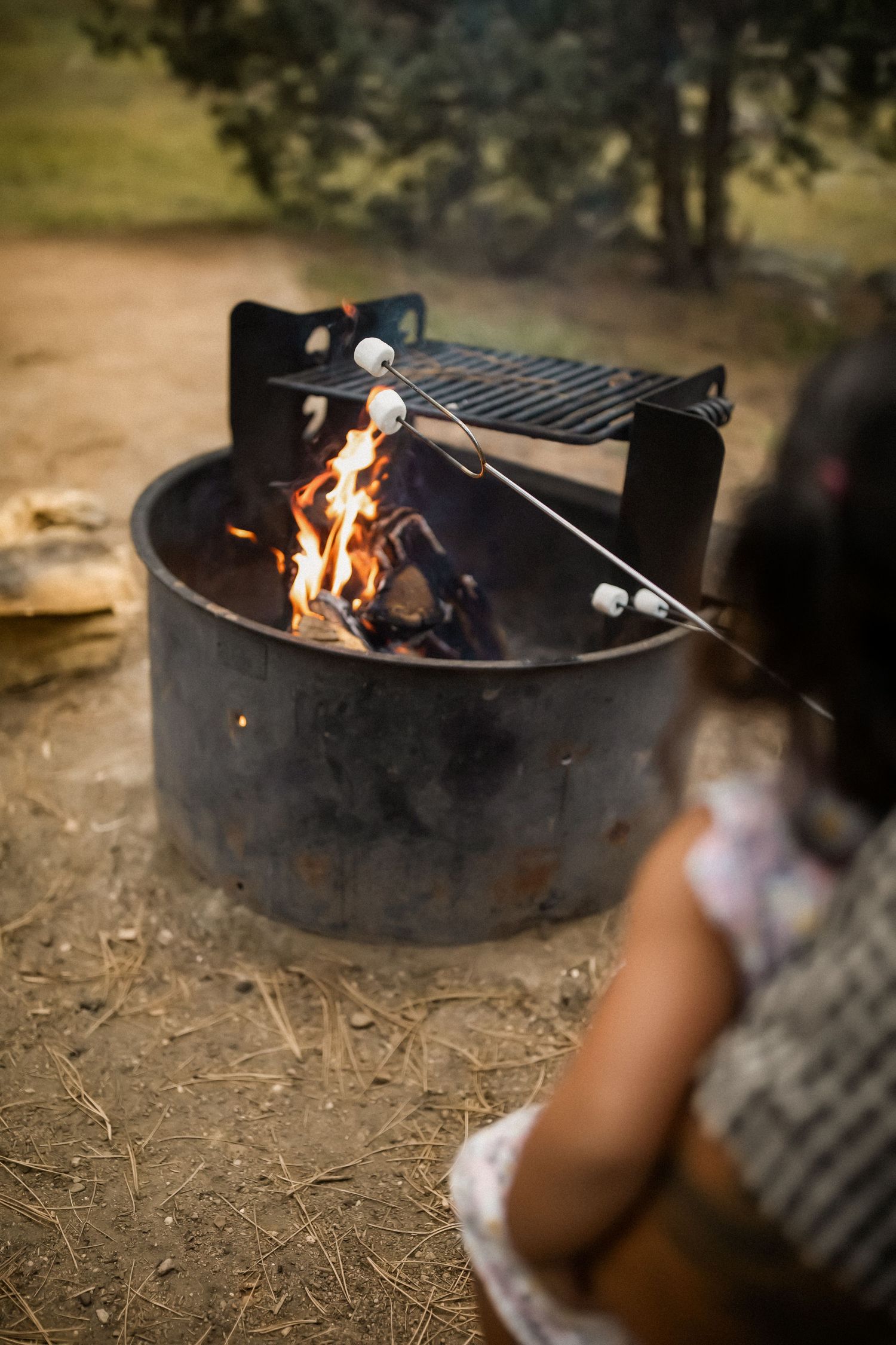 Roasting marshmallows over a campfire in a metal fire pit during golden hour.