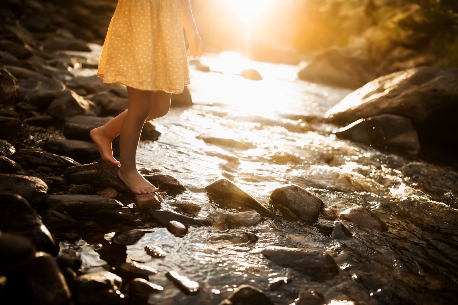 Golden sunlight streaming over rocky beach landscape.