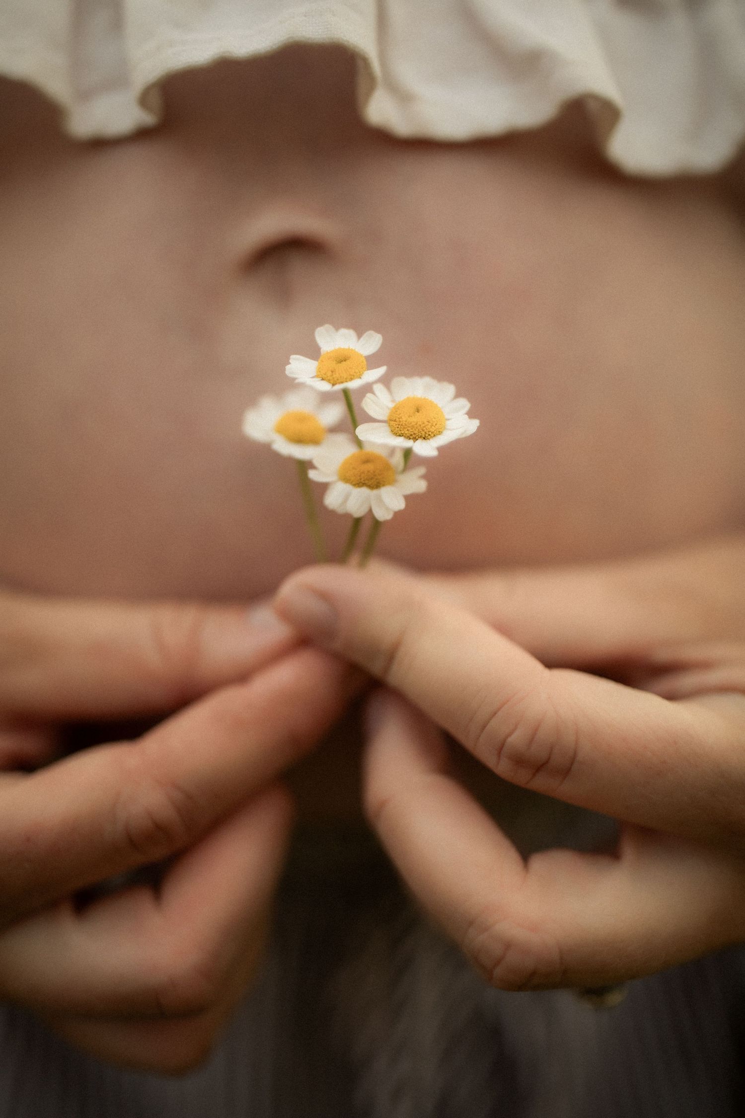 A sequence of hands passing a small white and yellow daisy flower from one person to another.