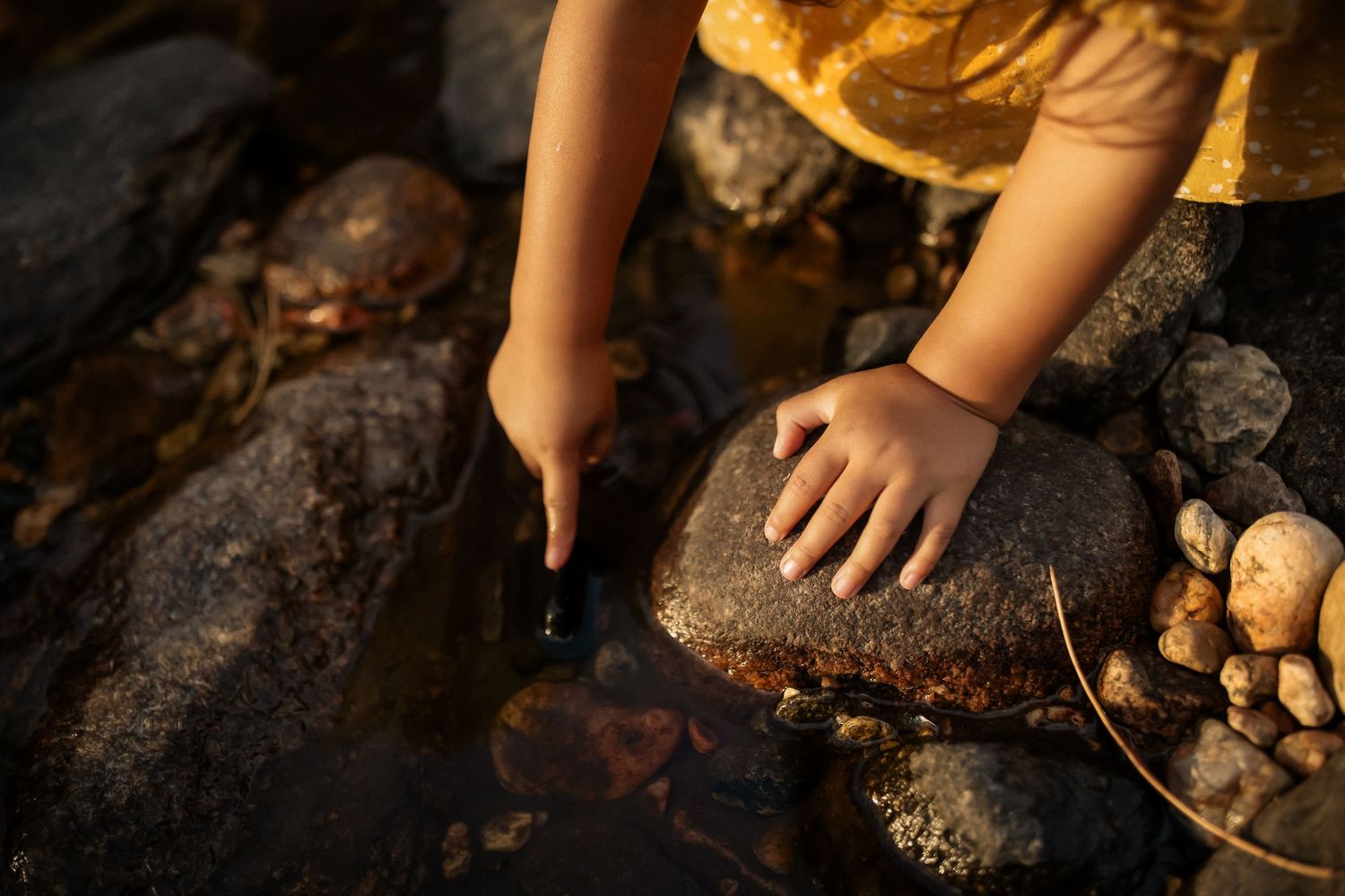 Close-up view of hands touching rocky ground with natural textures.