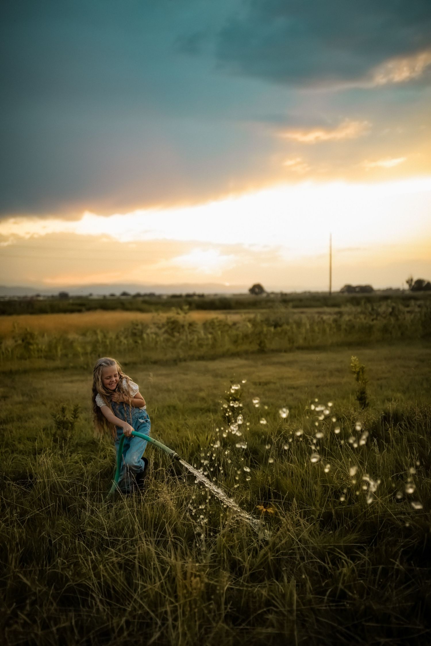 A dreamy sunset landscape with tall grass and wildflowers stretches across a rural field.