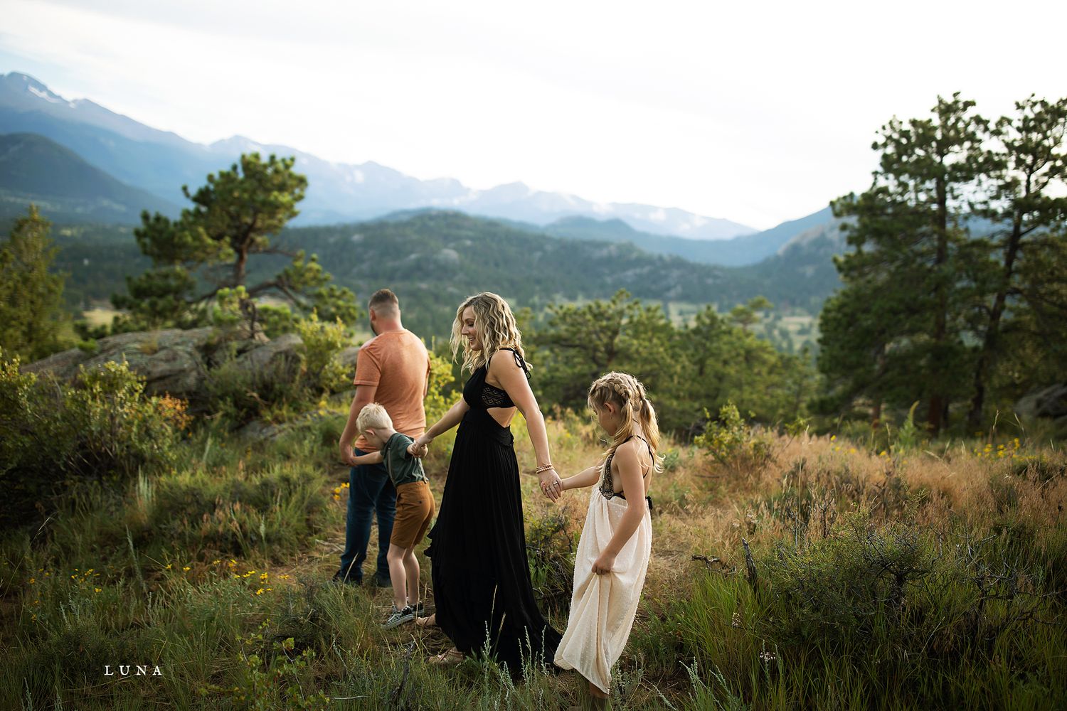 Golden sunset illuminates a mountainous landscape with pine trees and natural terrain.
