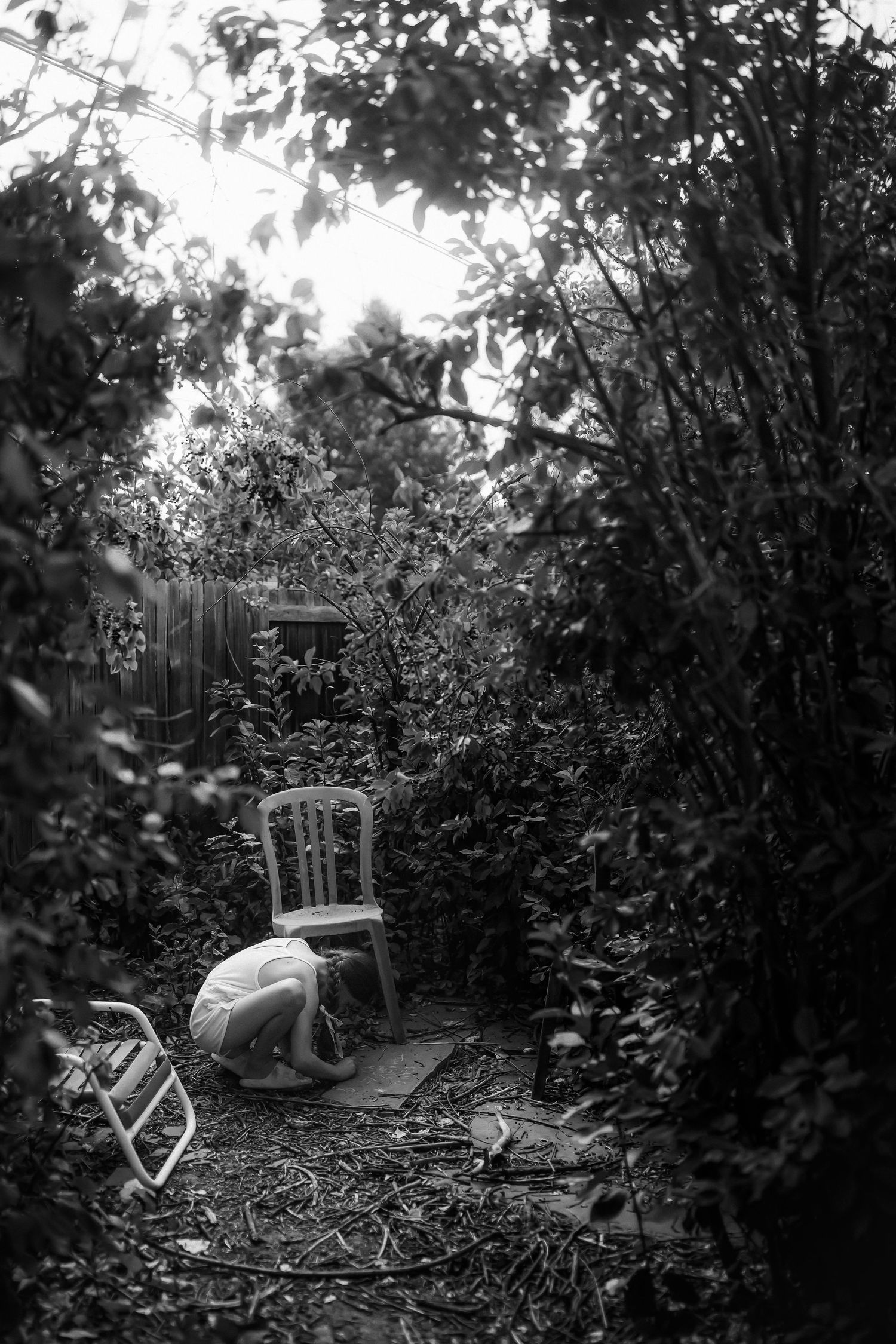 A series of black and white photographs showing an overgrown garden path with dense foliage and scattered debris.