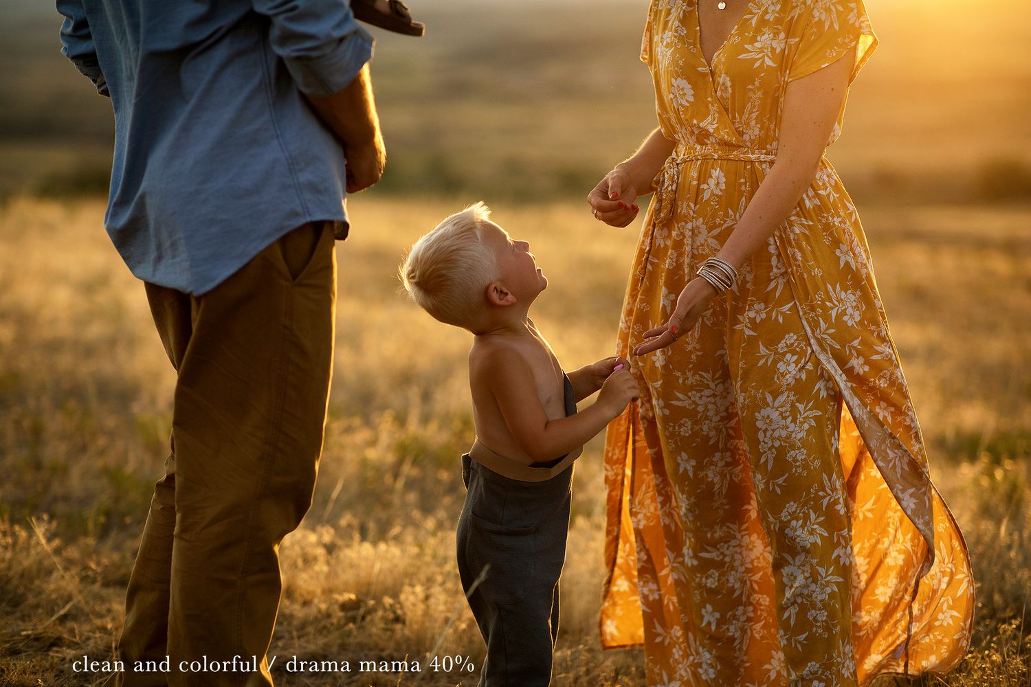 Intimate family moment captured in warm evening sunlight through meadow grass.