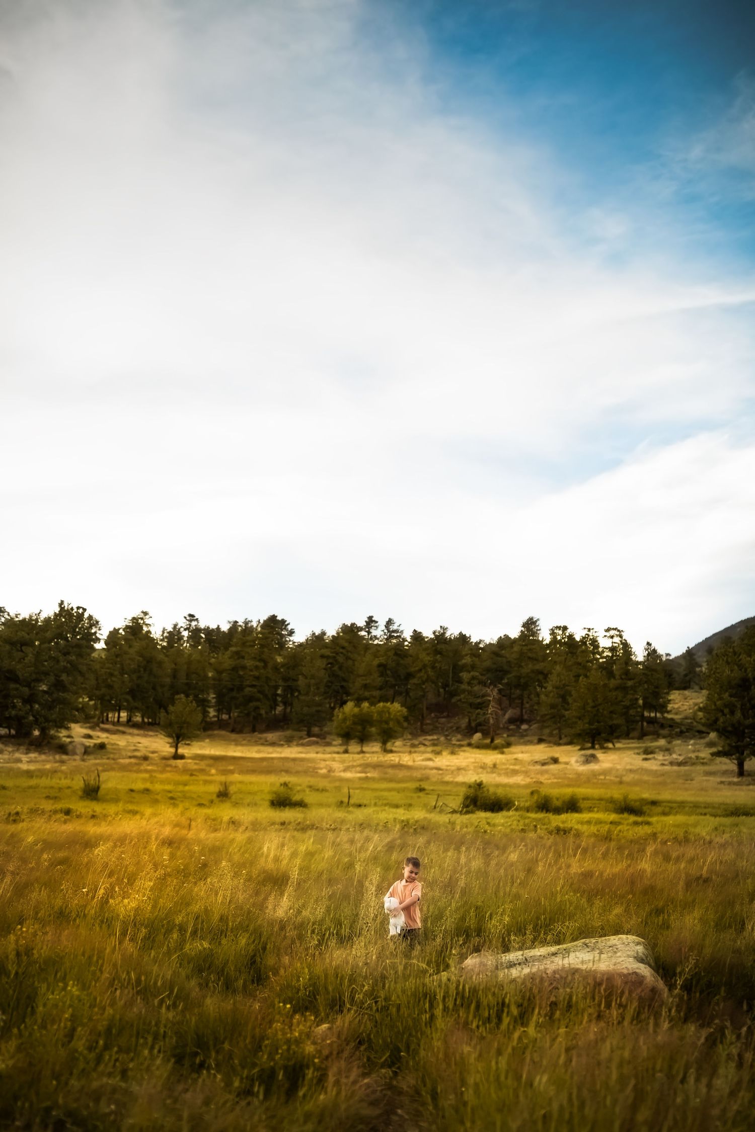 Scenic mountain meadow landscape with tall grass and evergreen trees under a blue sky.
