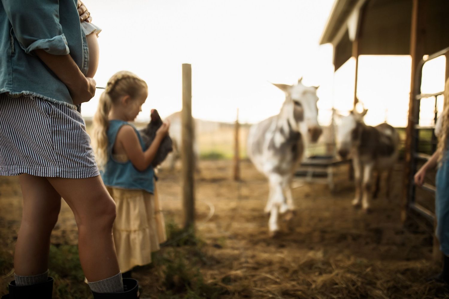 A rustic farm scene at sunset with horses in a barn while people stand in the foreground.