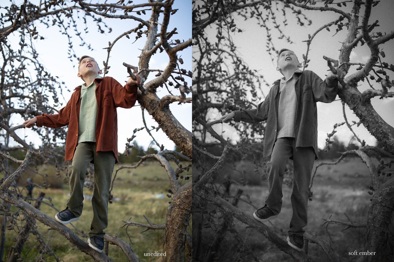 Figure climbing and playing in twisted tree branches against rural backdrop.