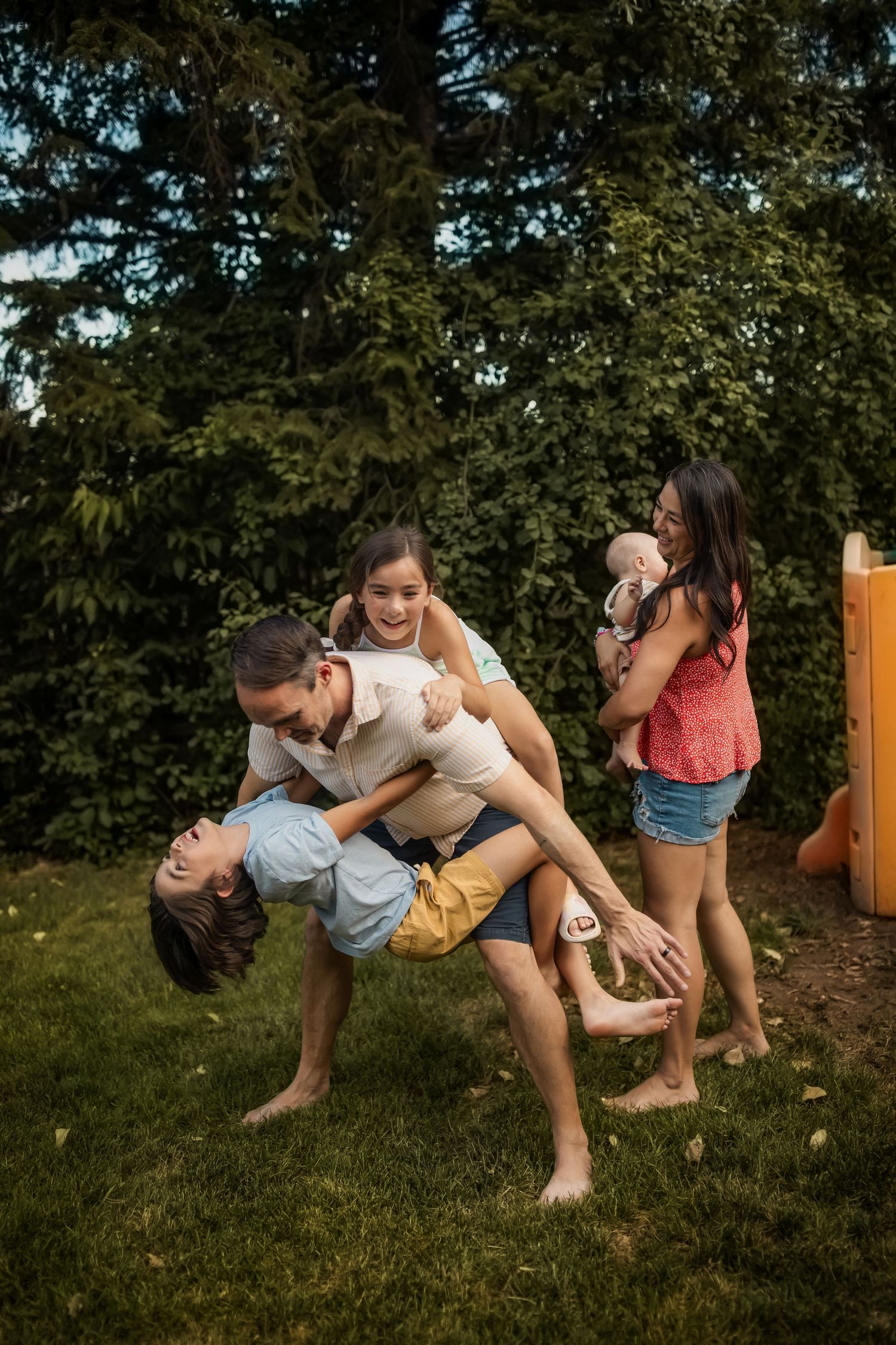 Playful family moment in a backyard with evergreen trees as children are swung upside down.