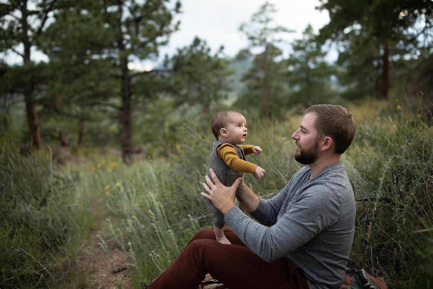 Playful interaction between parent and child among tall pine trees.