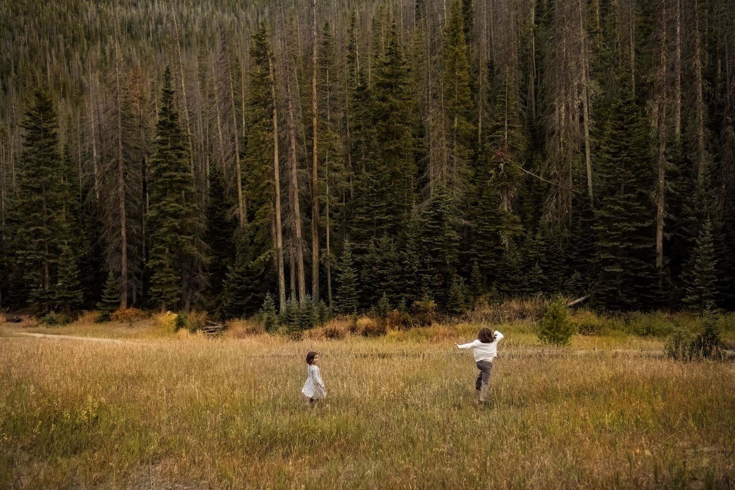 Two people walk through a golden meadow toward a dense evergreen forest in an autumn mountain landscape.