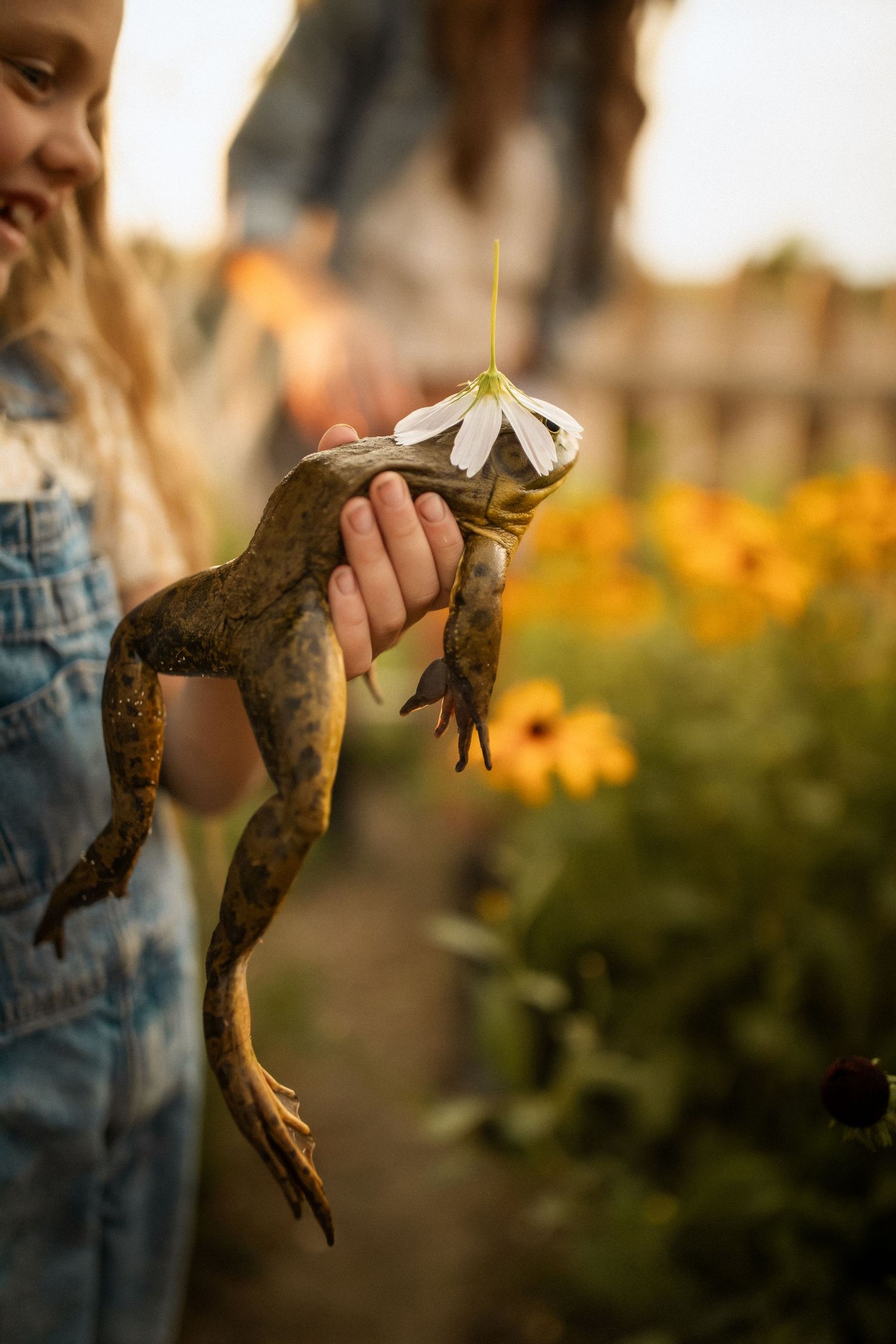 A young girl in denim overalls holds a large frog with a white flower in a sunny garden with yellow blooms.
