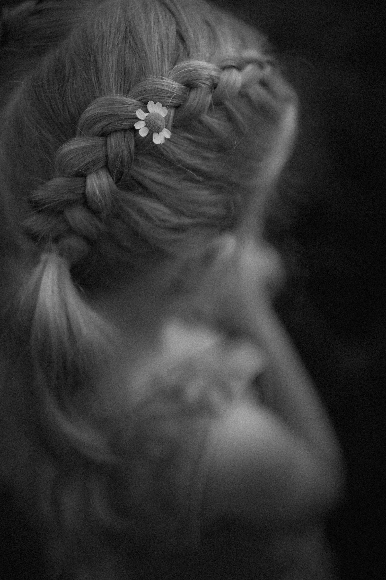 Close up black and white photo of an intricate braided hairstyle with small flowers woven in.