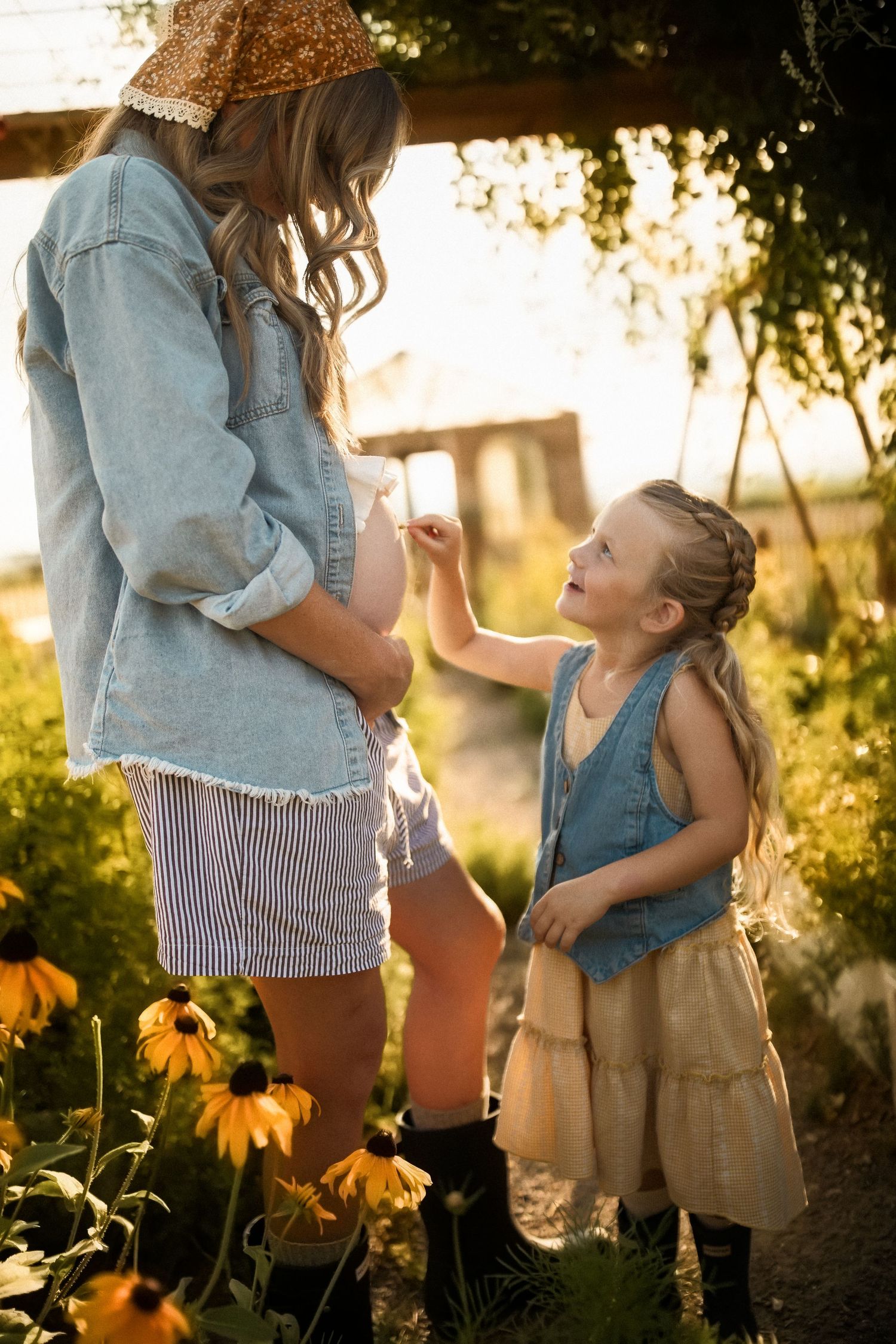 Sunflowers bloom in a garden during golden hour with denim and casual clothing visible.