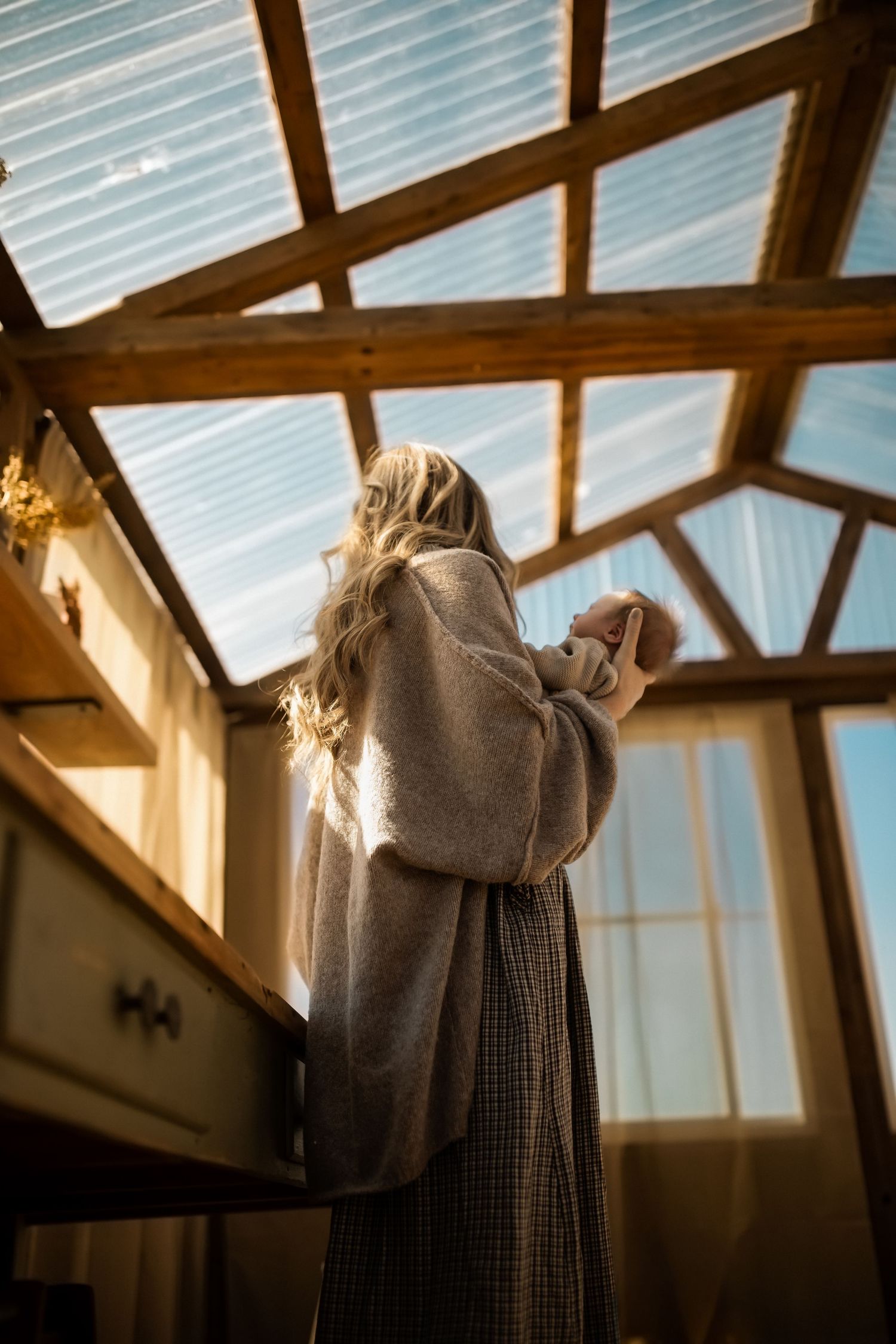 Sunlit attic or greenhouse interior with wooden beams and translucent roof panels.