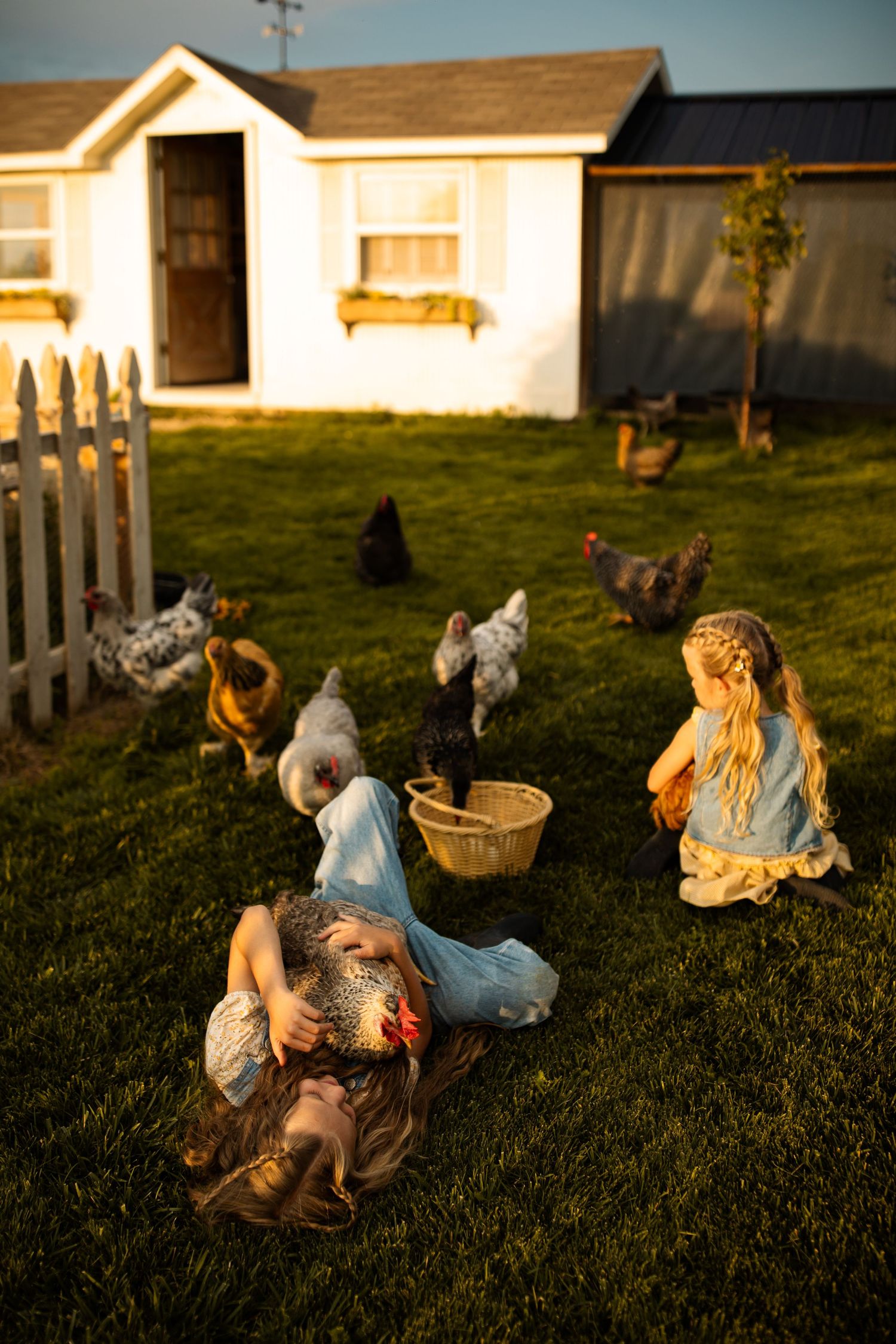 Peaceful country scene with chickens and people relaxing on grass at golden hour.