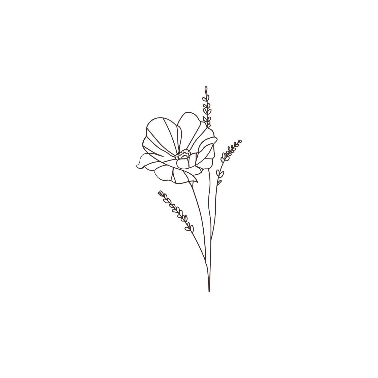 Simple line drawings of flowers and botanical elements in black and white.