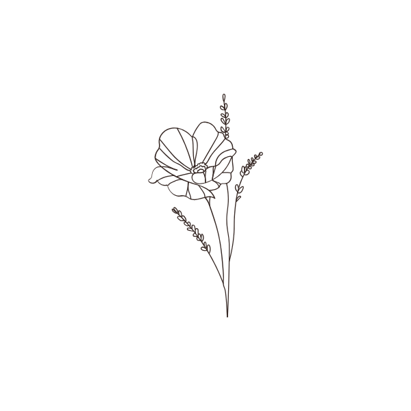 Minimalist one-line drawing of a poppy flower with lavender sprigs, elegant botanical art in black ink.