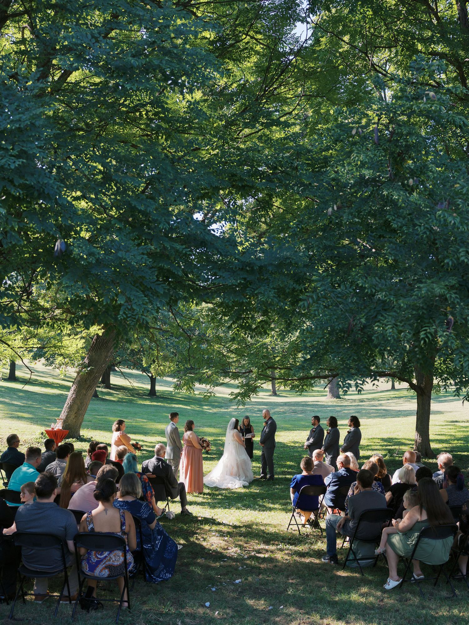Outdoor wedding ceremony under large green trees with guests seated on chairs in a sunlit park setting.