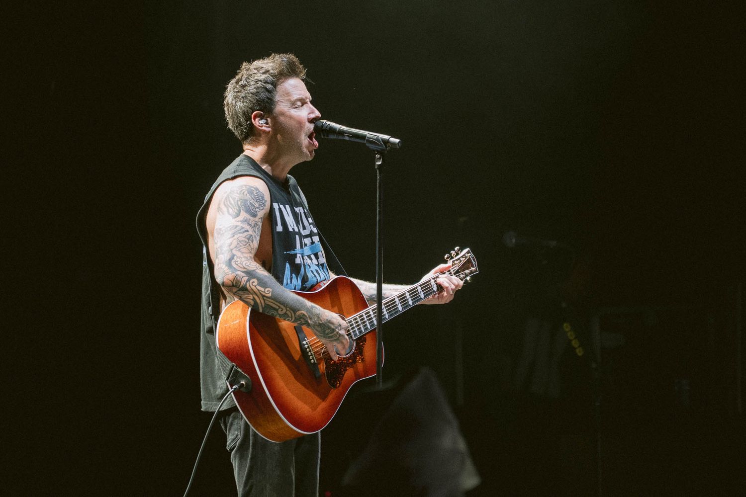 Simple Plan with acoustic guitar singing into microphone on darkened concert stage.