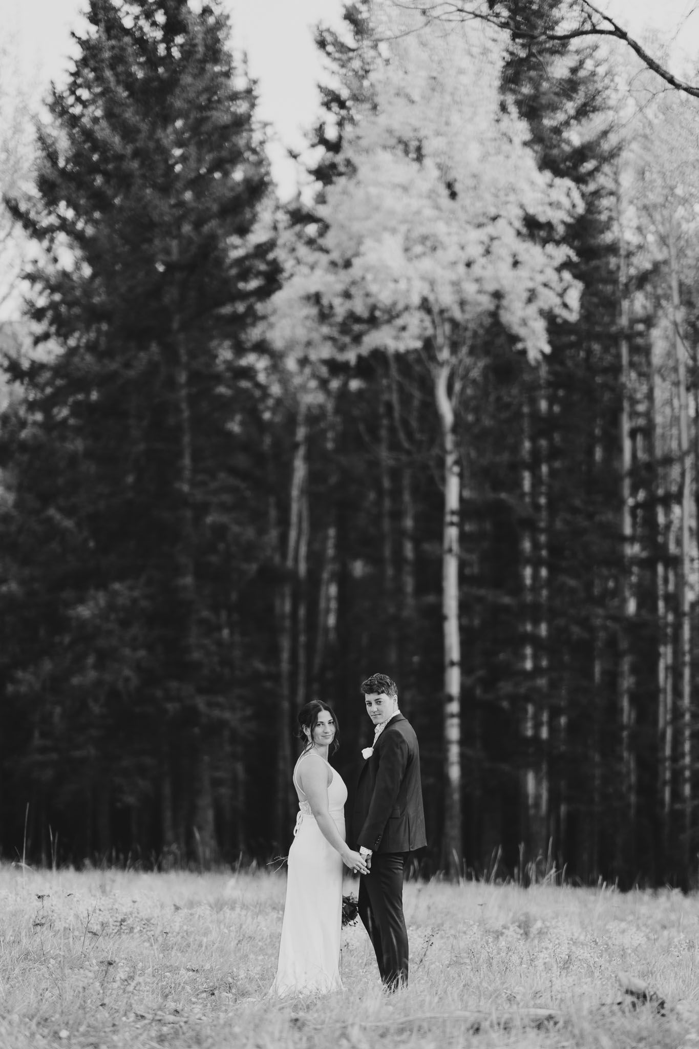 Black and white wedding photos showing a couple in a field with evergreen trees and birch trees in Jasper, Alberta