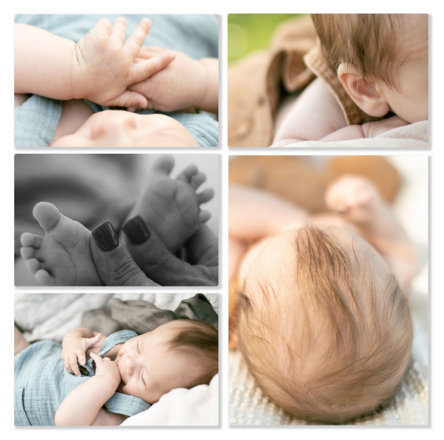Newborn Photography - Outdoor Set Up