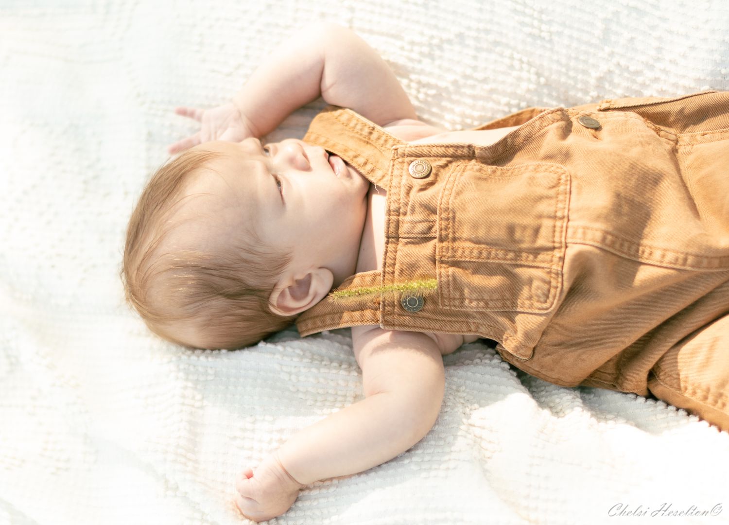Newborn Shoot