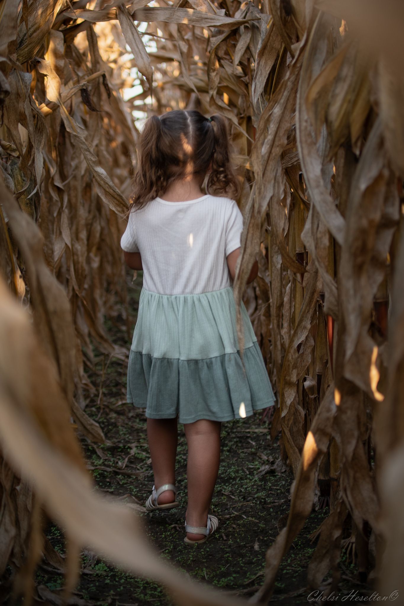 Family Fall Session: Bogard, Missouri
