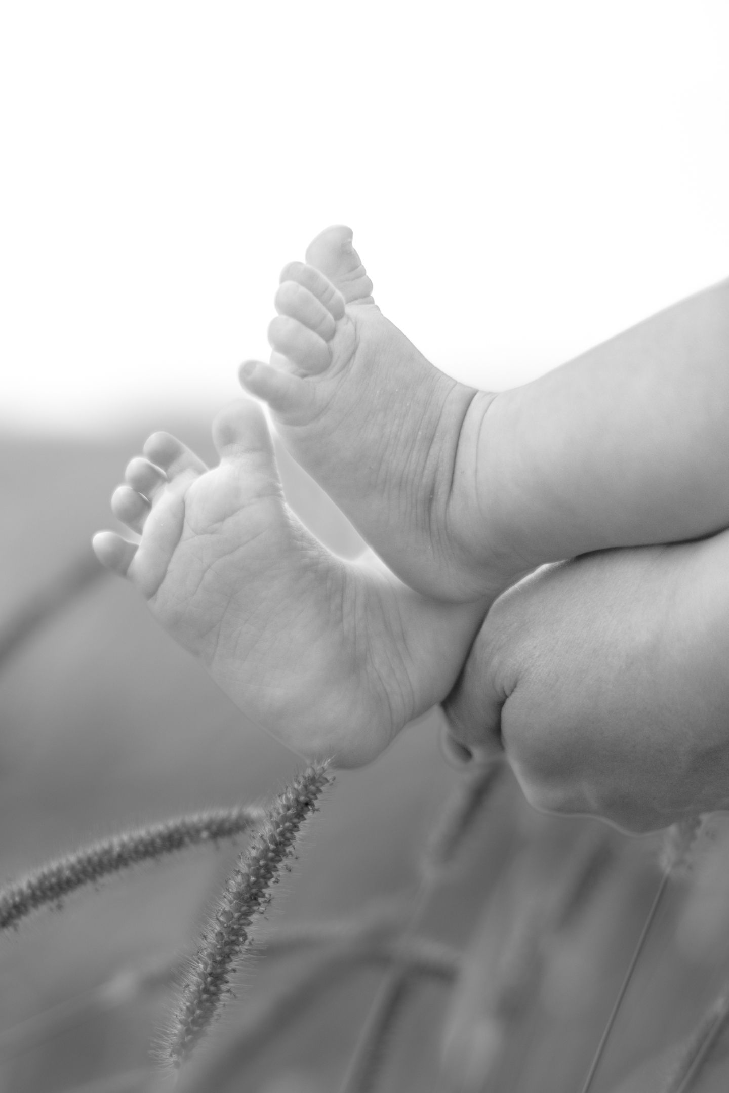 Outdoor Newborn Session