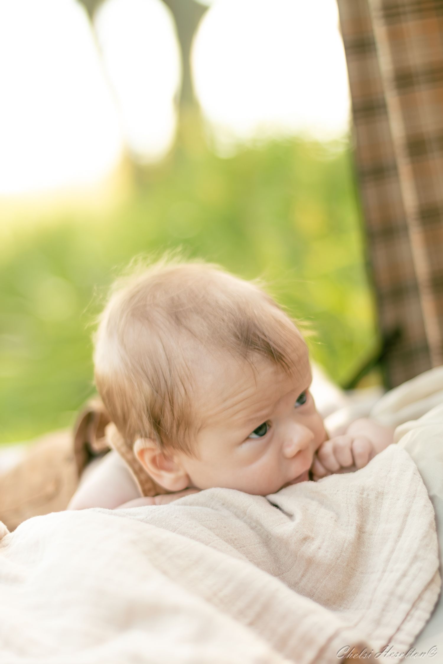 Newborn Shoot