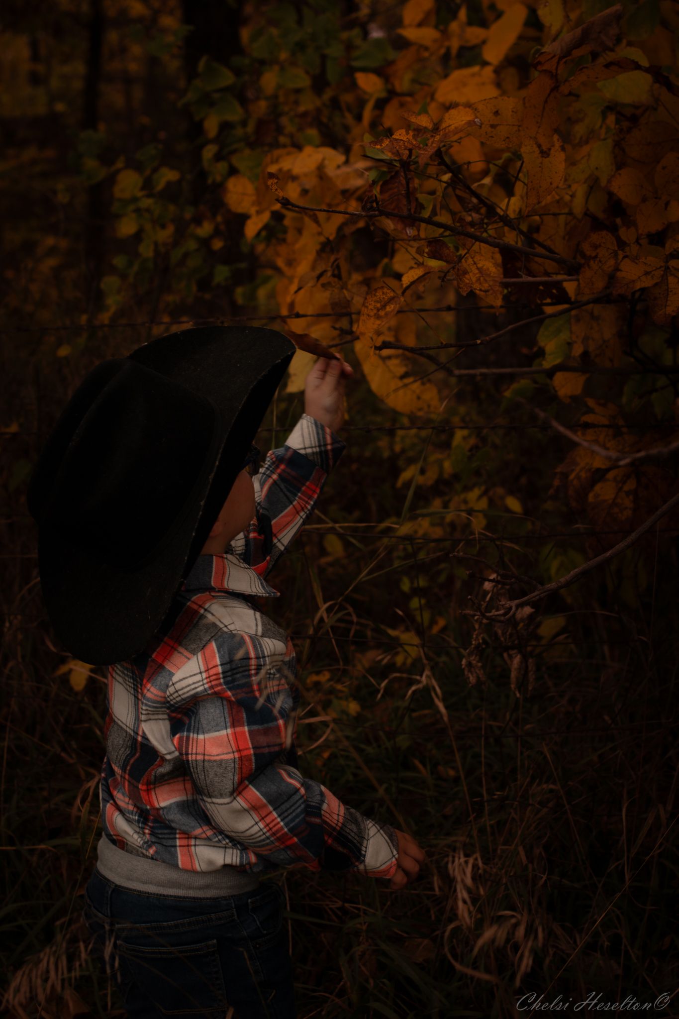 Family Shoot