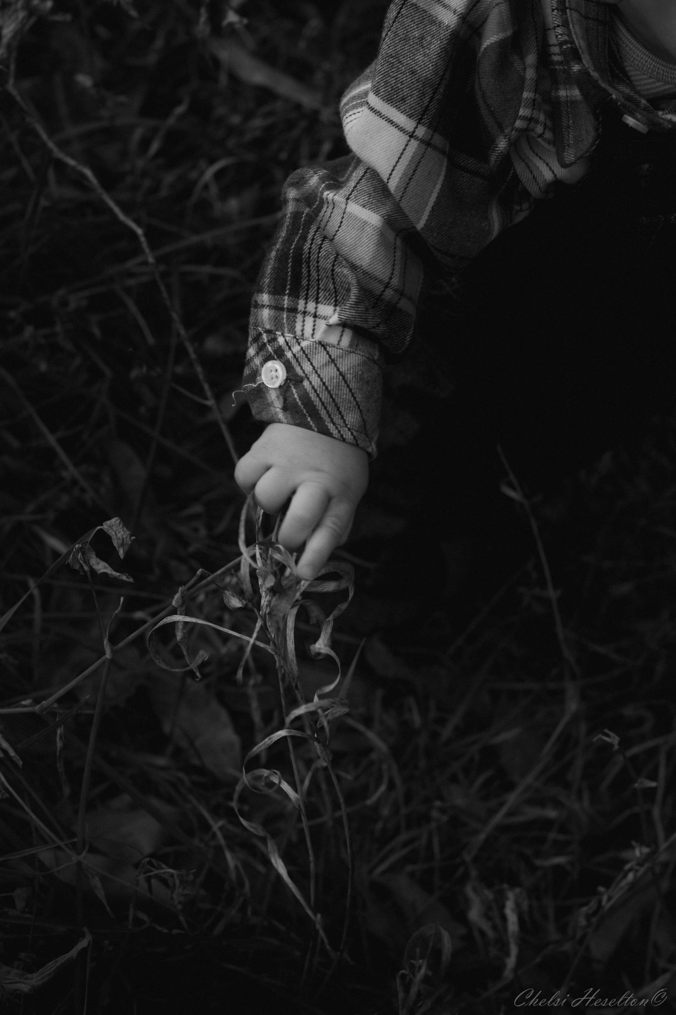 Family Shoot