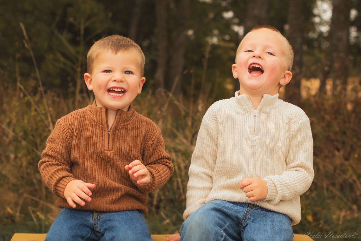 Family Shoot