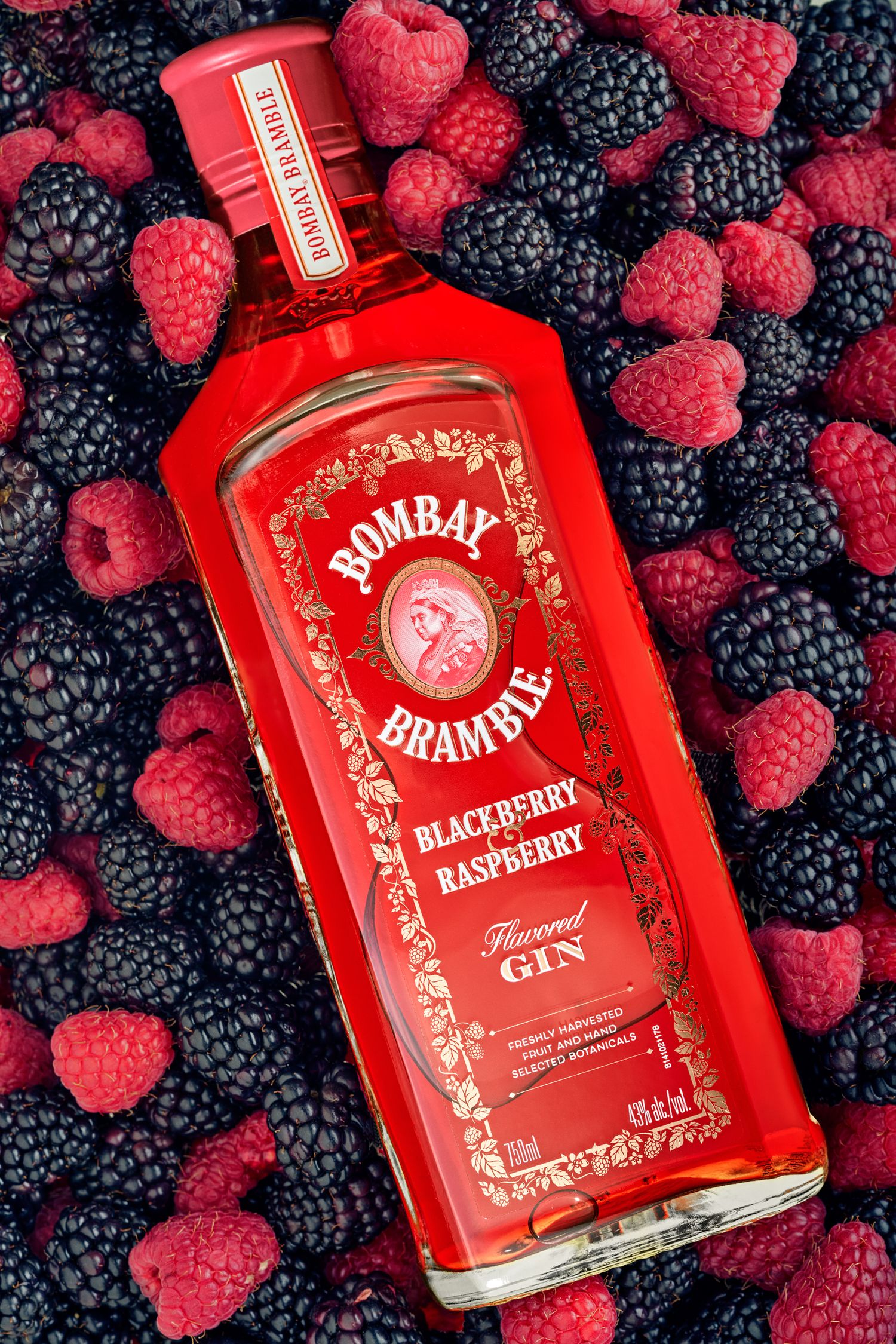 Bottle of Bombay Bramble gin surrounded by fresh blackberries and raspberries.