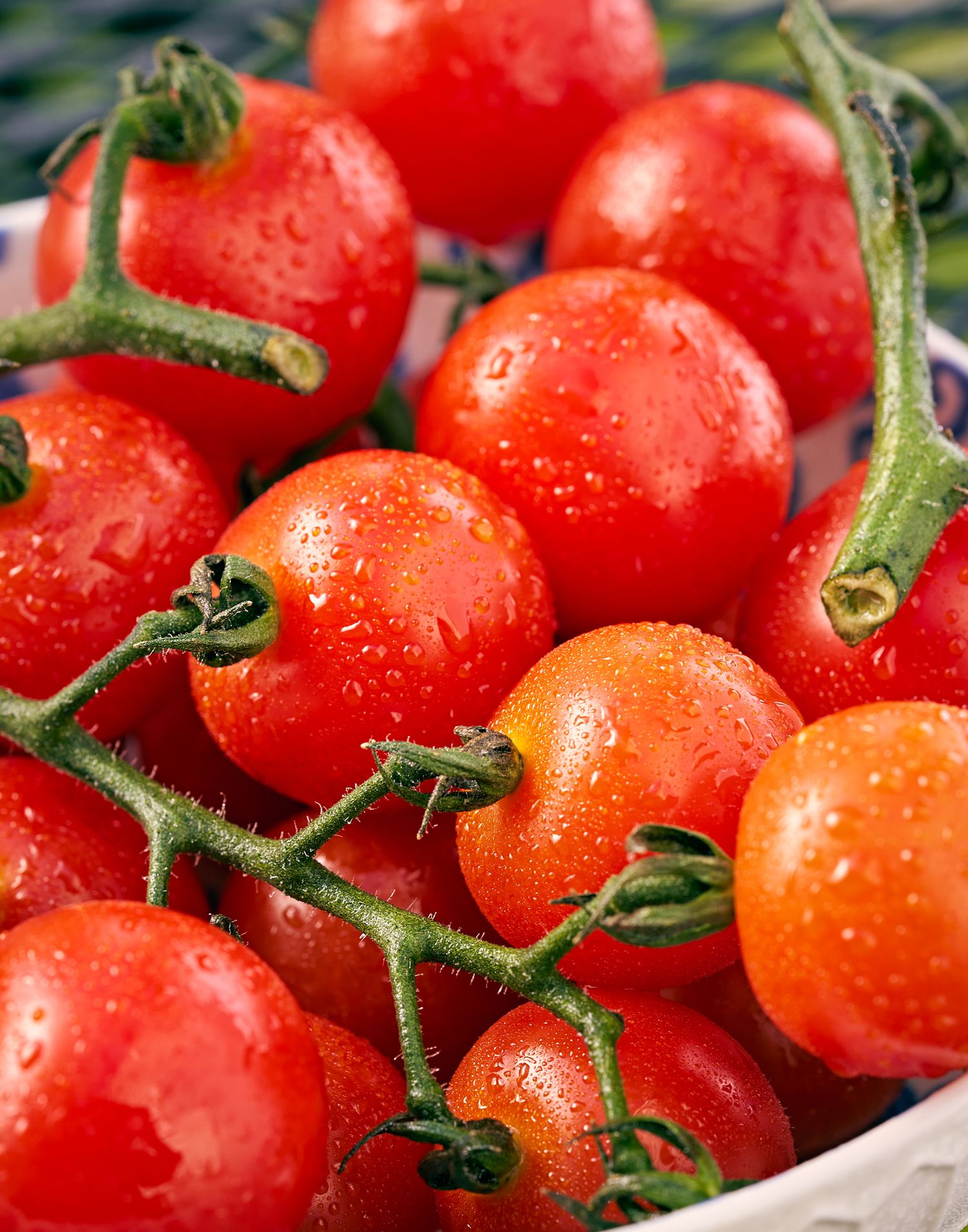 Fresh cherry tomatoes on the vine with water droplets and green stems.