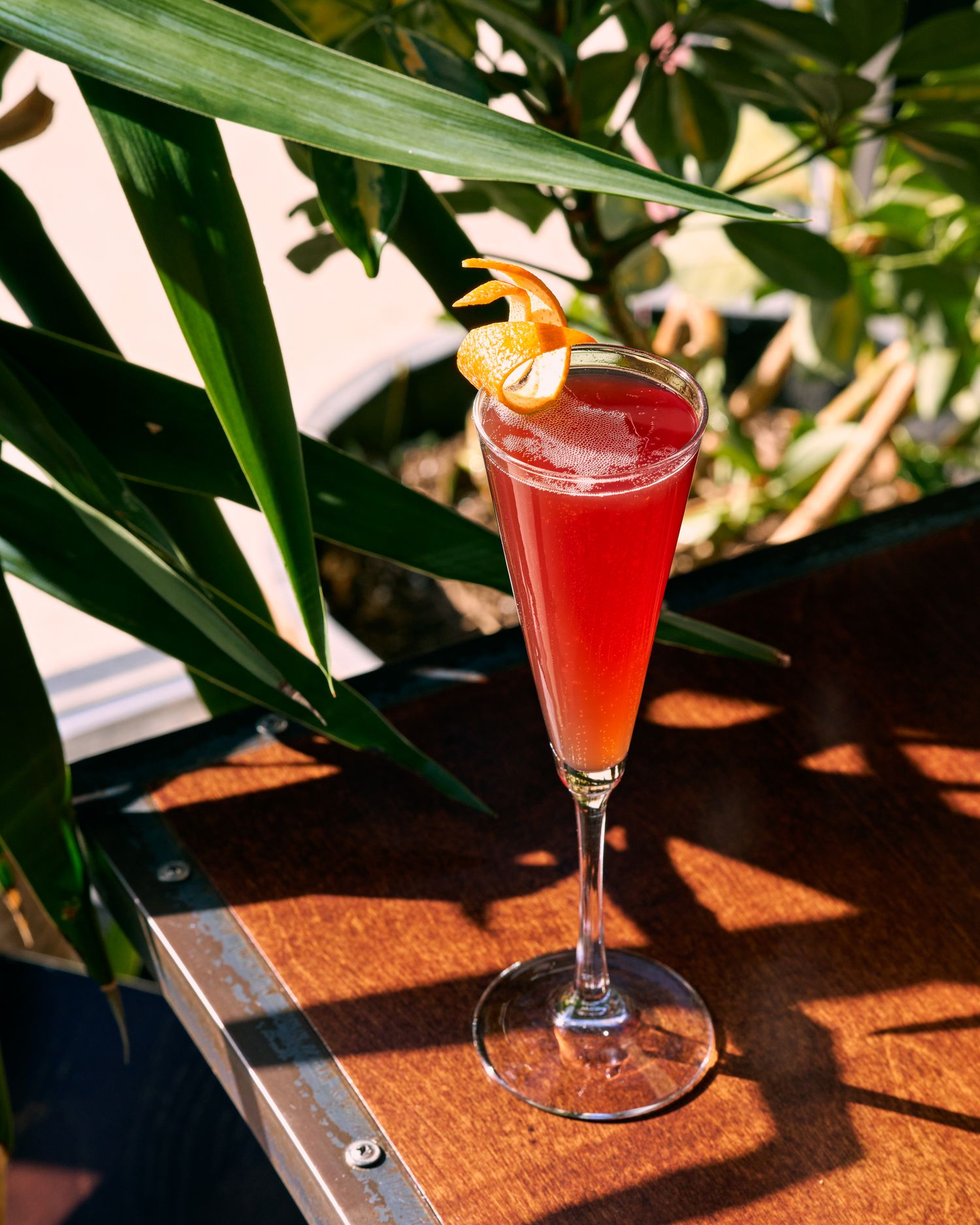 Red cocktails in stemmed glasses on wooden surface with tropical leaves casting shadows.