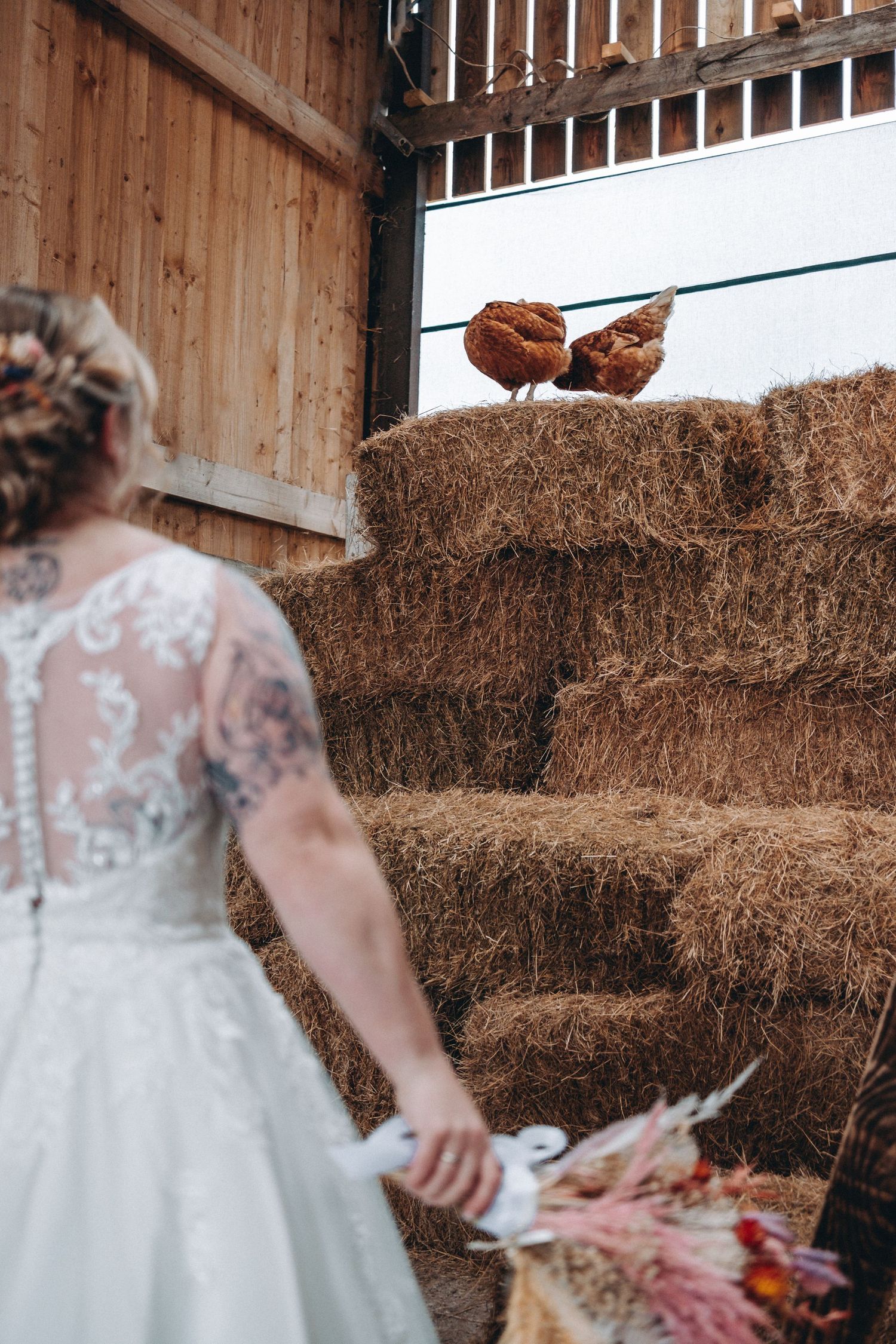 Two brown chickens perch atop hay bales in a rustic barn setting with bride
 in foreground.